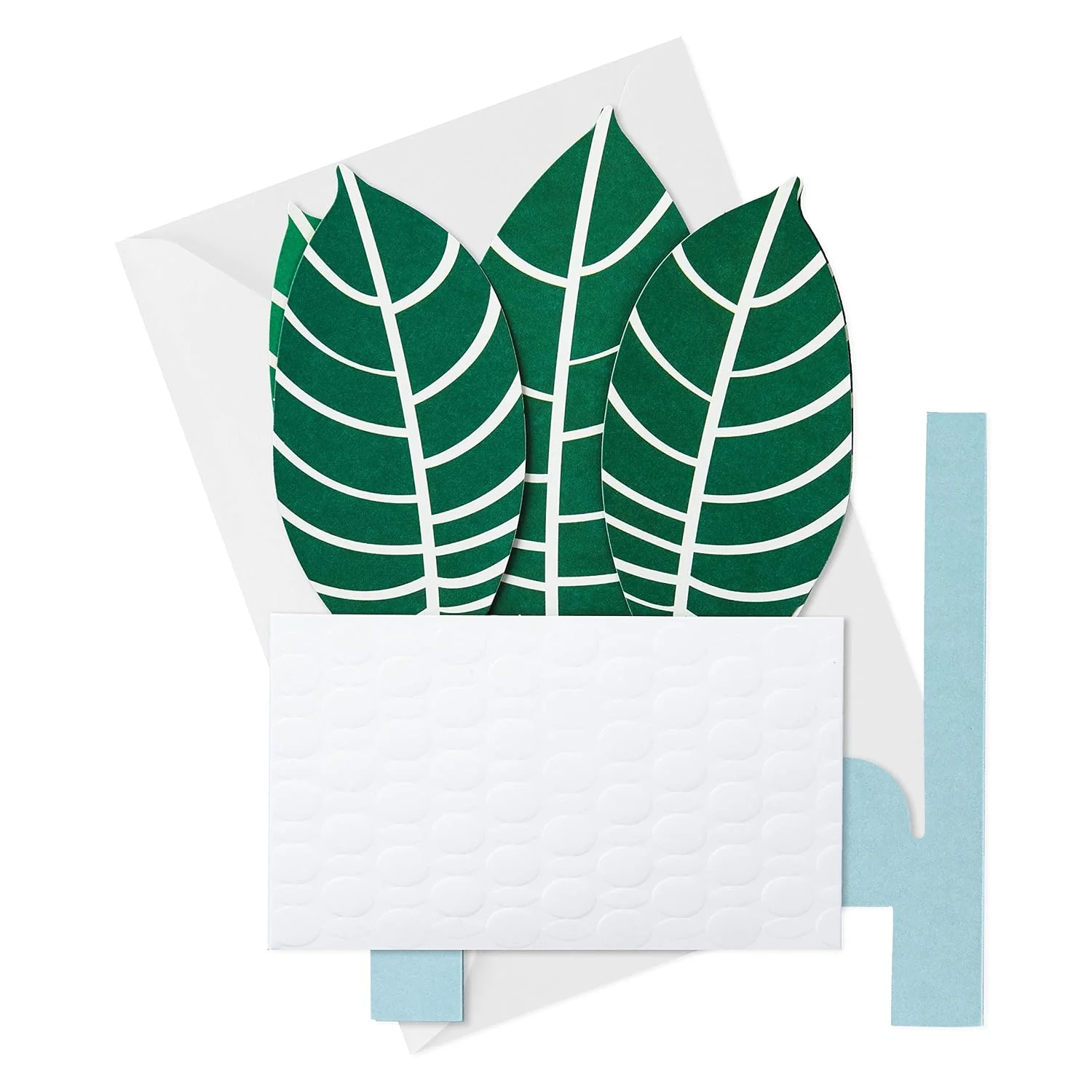 Hallmark Paper Wonder Pop Up Card for Birthday, Thinking of You, Congrats, Get Well, or Any Occasion (Potted Zebra Plant) - Image 2