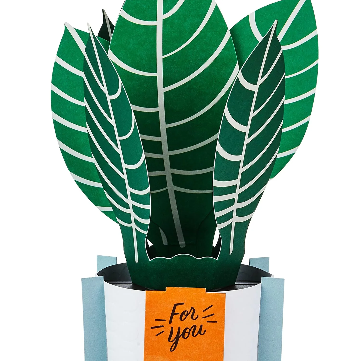 Hallmark Paper Wonder Pop Up Card for Birthday, Thinking of You, Congrats, Get Well, or Any Occasion (Potted Zebra Plant) - Image 4