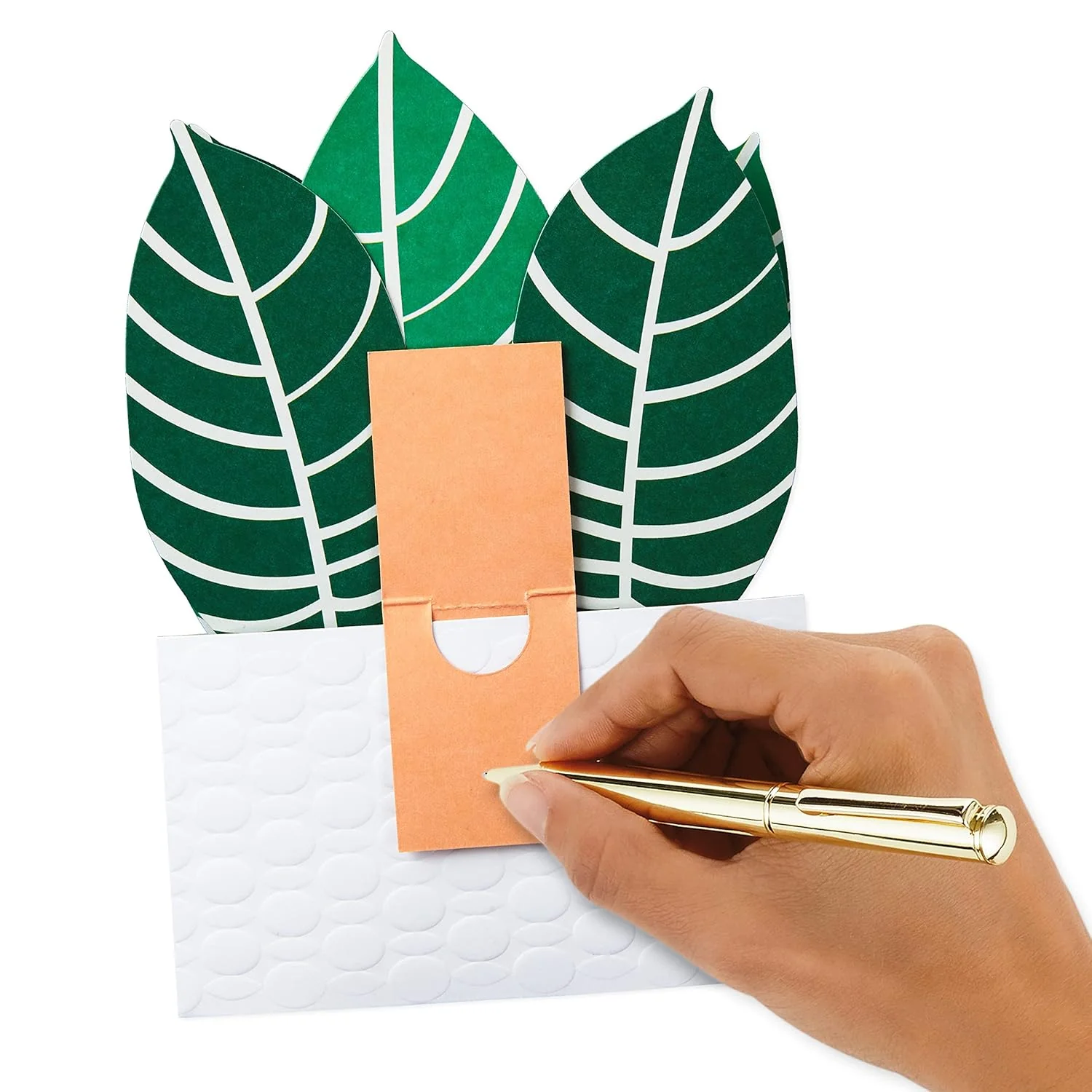 Hallmark Paper Wonder Pop Up Card for Birthday, Thinking of You, Congrats, Get Well, or Any Occasion (Potted Zebra Plant) - Image 5