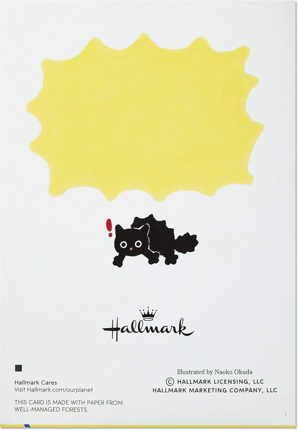 Hallmark Pop Up Birthday Card (Surprised Cat) - Image 8