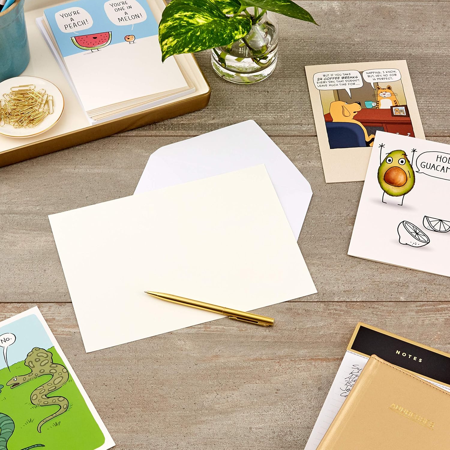 Hallmark Shoebox Funny Blank Cards Assortment (12 All Occasion Cards with Envelopes) - Image 6