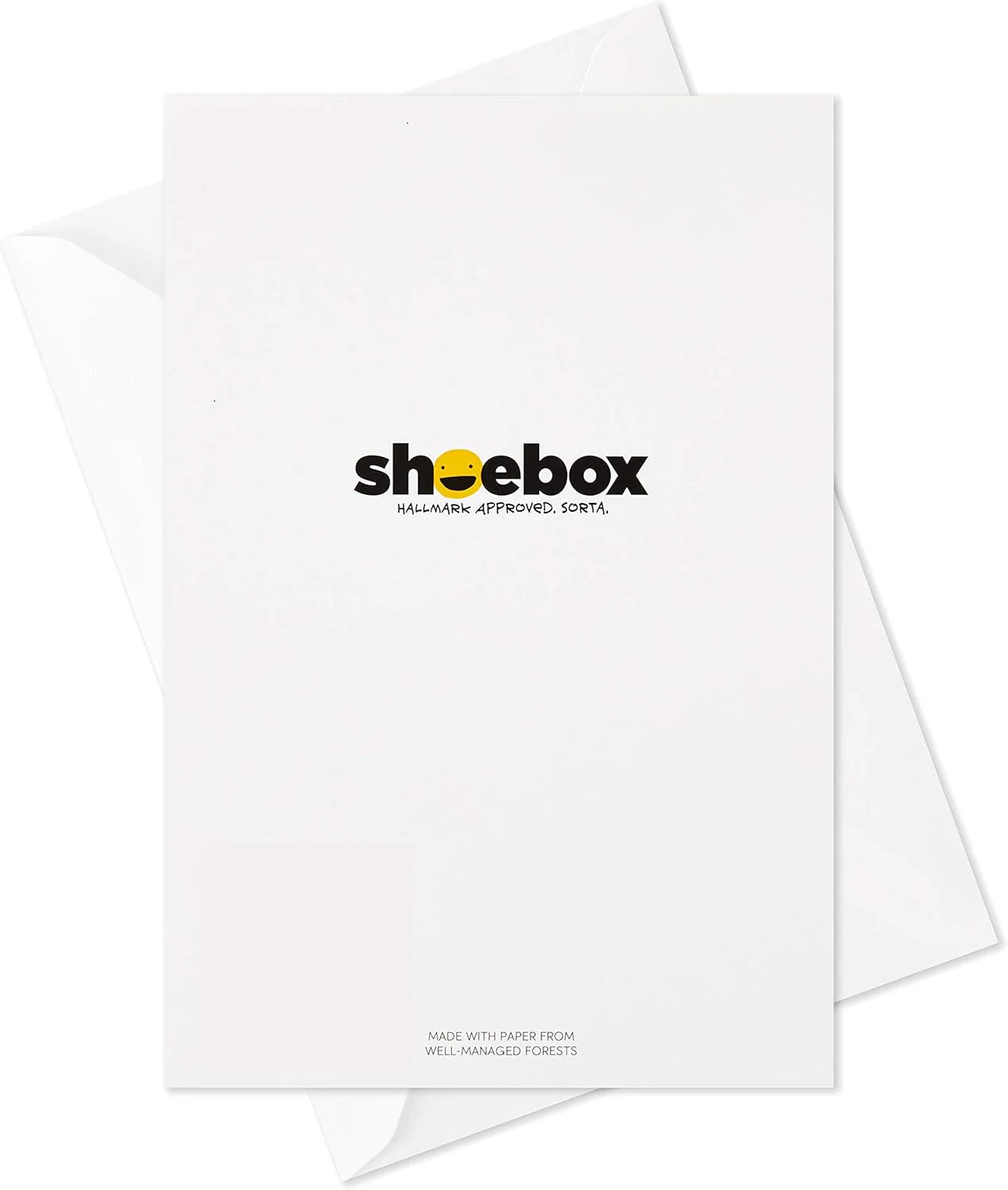 Hallmark Shoebox Funny Blank Cards Assortment (12 All Occasion Cards with Envelopes) - Image 8