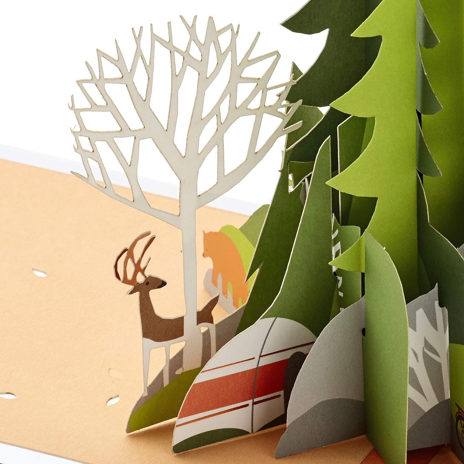 Hallmark Signature Paper Wonder Pop Up Birthday Card (Adventure Awaits) - Image 2