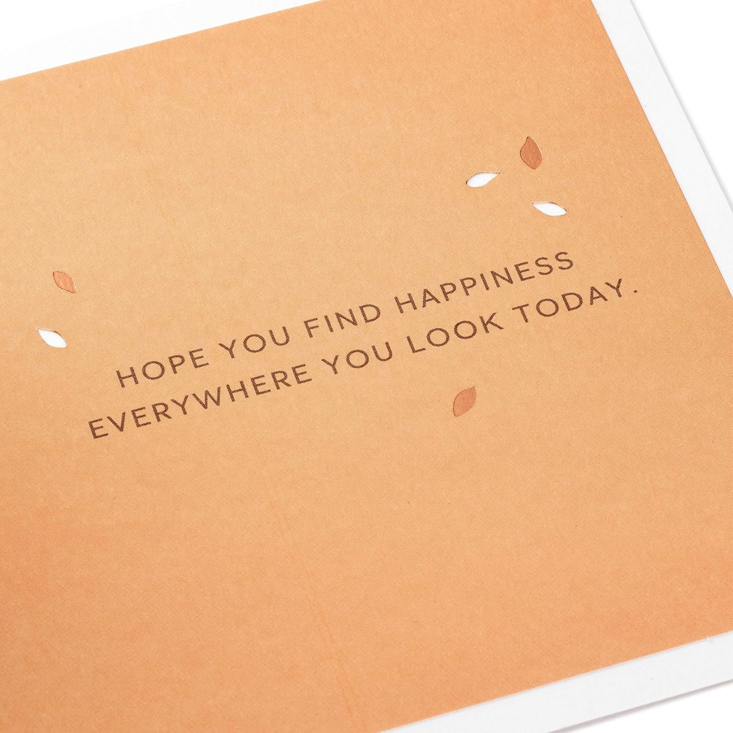 Hallmark Signature Paper Wonder Pop Up Birthday Card (Adventure Awaits) - Image 4