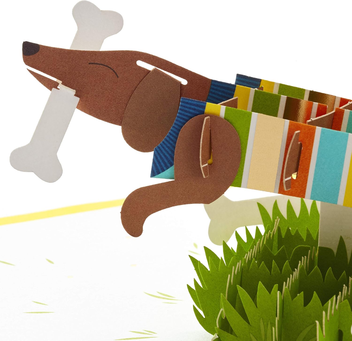 Hallmark Signature Paper Wonder Pop Up Birthday Card, Fathers Day Card (Dachshund, Happy All Day Long) - Image 3