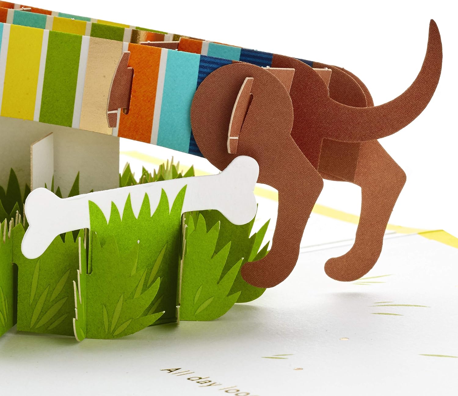 Hallmark Signature Paper Wonder Pop Up Birthday Card, Fathers Day Card (Dachshund, Happy All Day Long) - Image 4