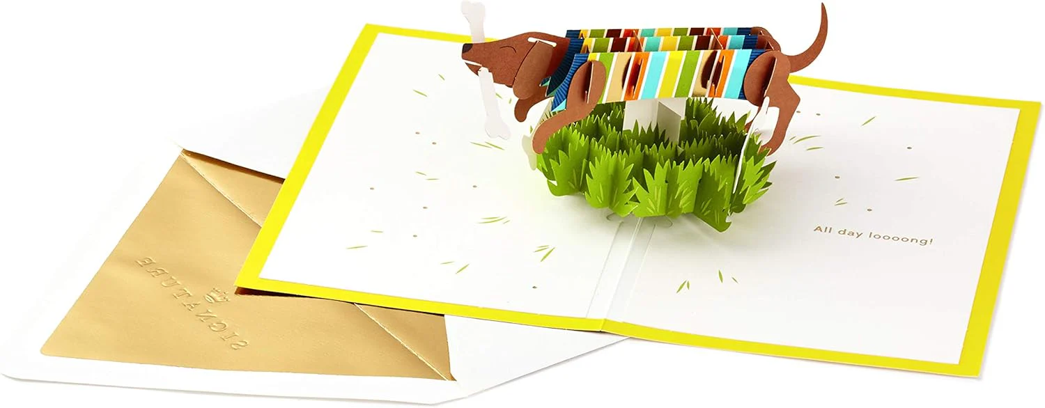 Hallmark Signature Paper Wonder Pop Up Birthday Card, Fathers Day Card (Dachshund, Happy All Day Long) - Image 5