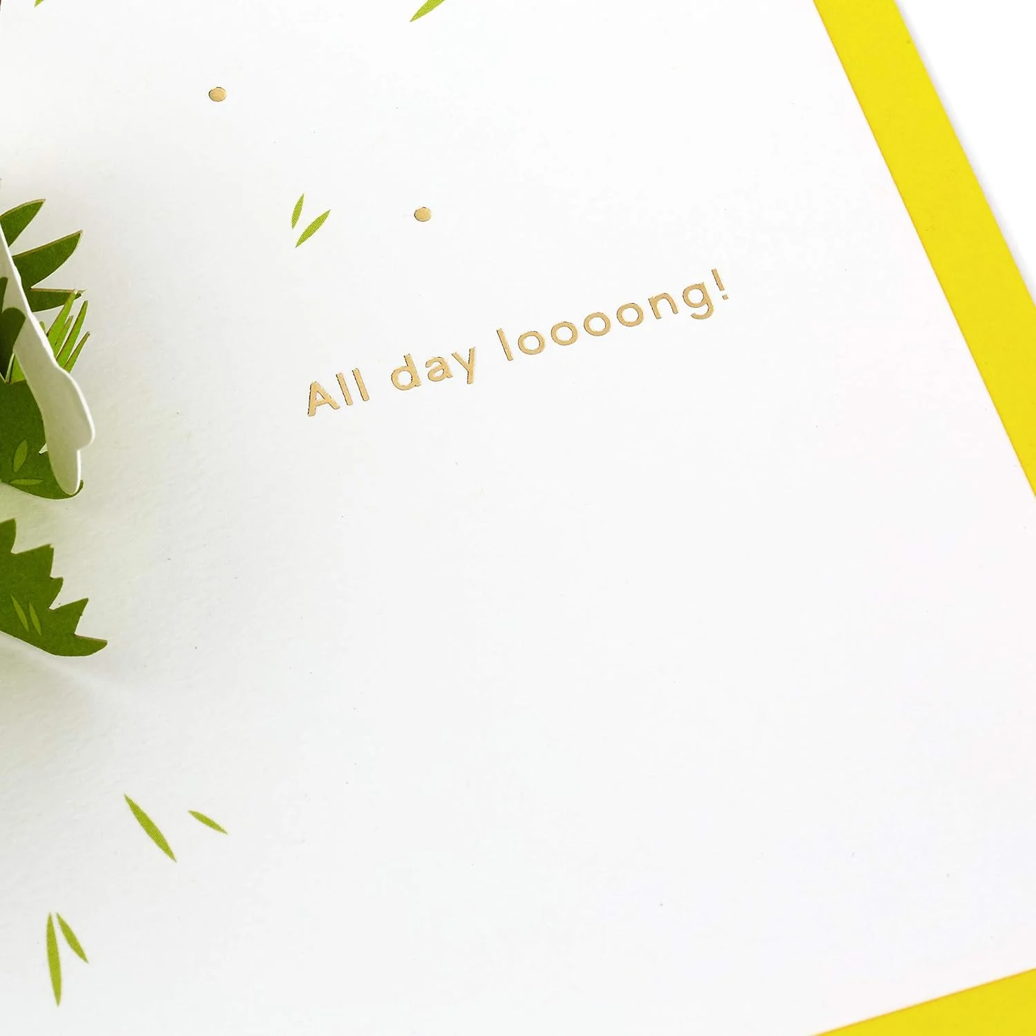 Hallmark Signature Paper Wonder Pop Up Birthday Card, Fathers Day Card (Dachshund, Happy All Day Long) - Image 6