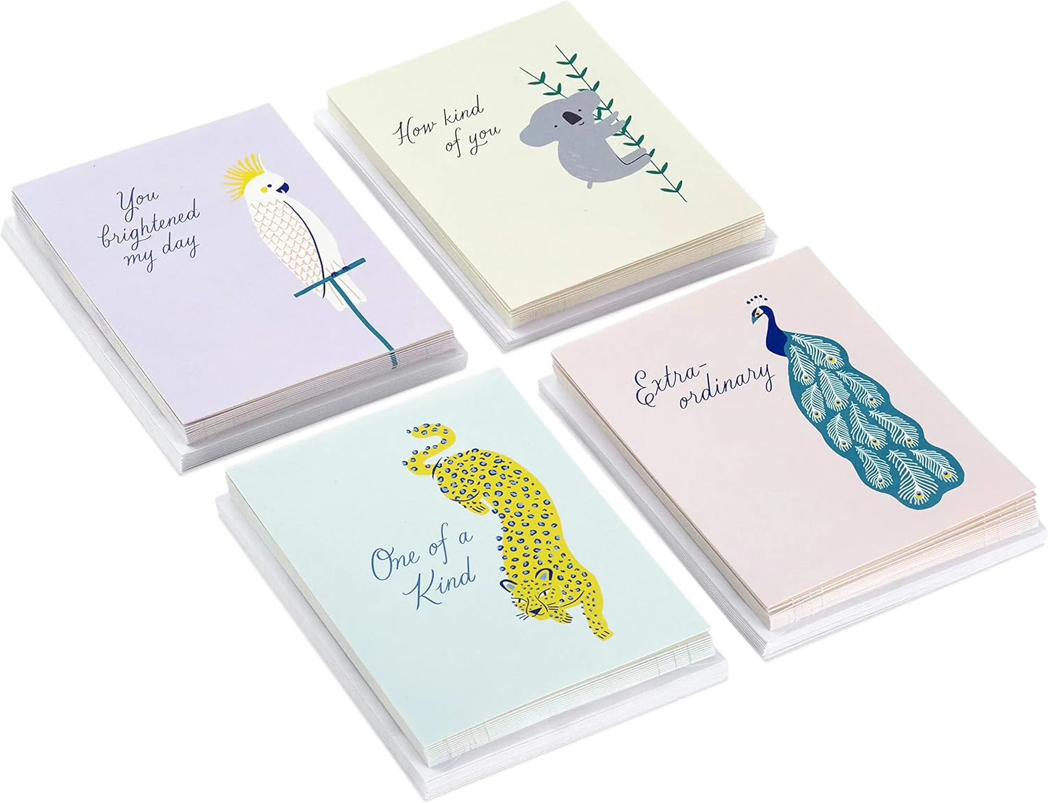 Hallmark Thank You Cards Assortment, Exotic Animals (48 Cards with Envelopes for Baby Showers, Bridal Showers, Weddings, All Occasion) Koala, Peacock - Image 2