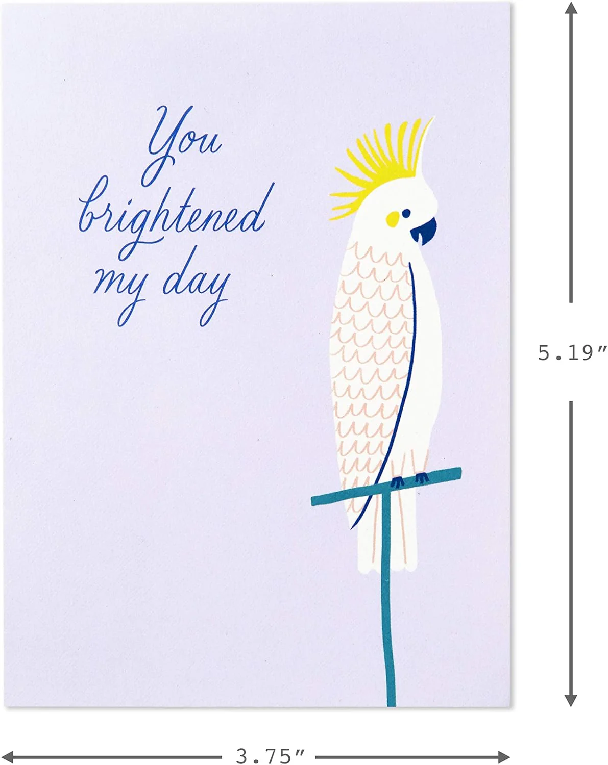 Hallmark Thank You Cards Assortment, Exotic Animals (48 Cards with Envelopes for Baby Showers, Bridal Showers, Weddings, All Occasion) Koala, Peacock - Image 4