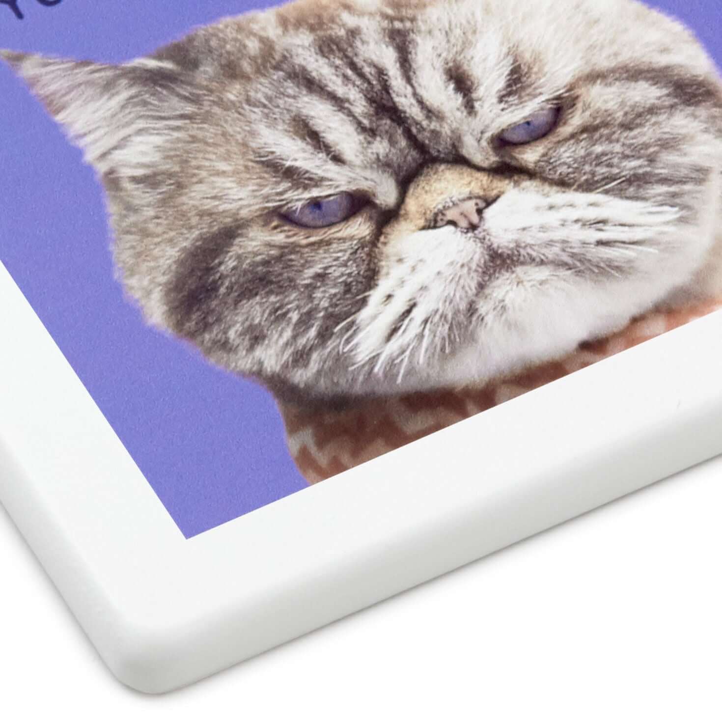 Grumpy Kevin the Cat Photo Funny Coaster - Image 4