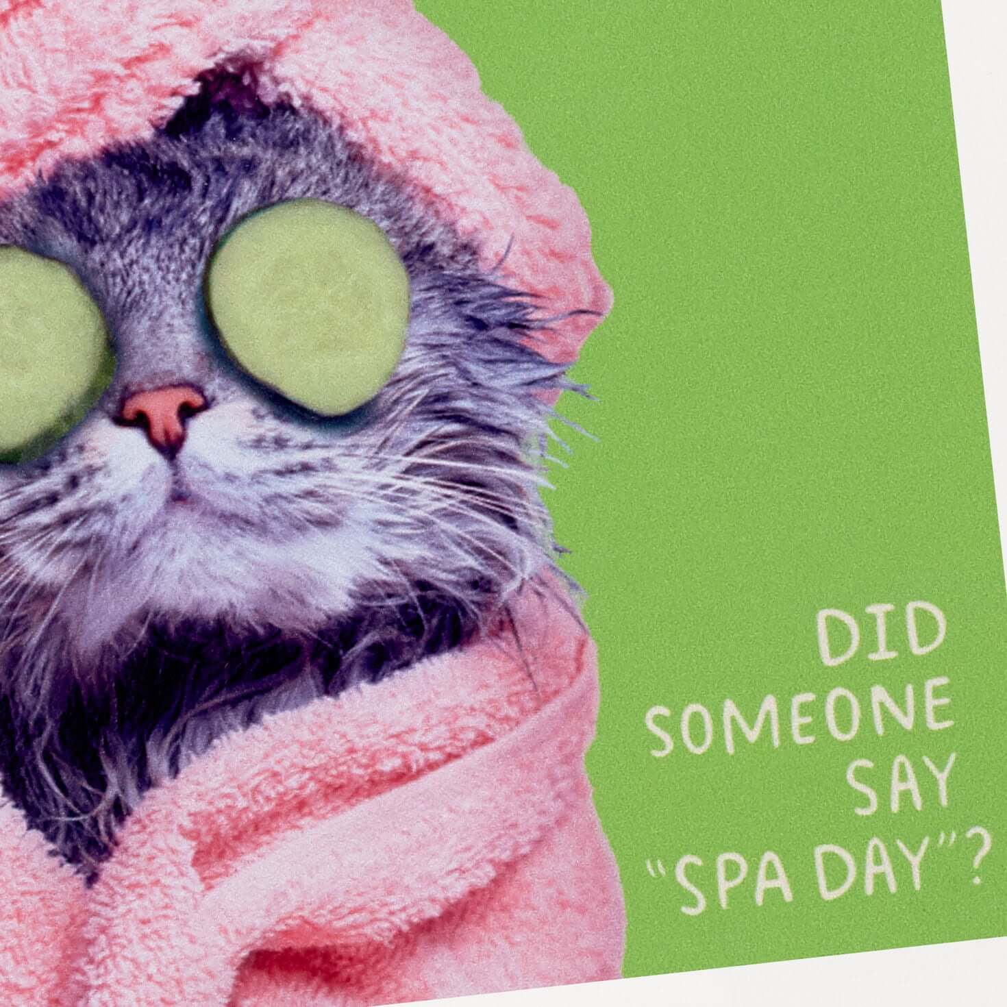 Pampered Cat Photo Funny Coaster - Image 3