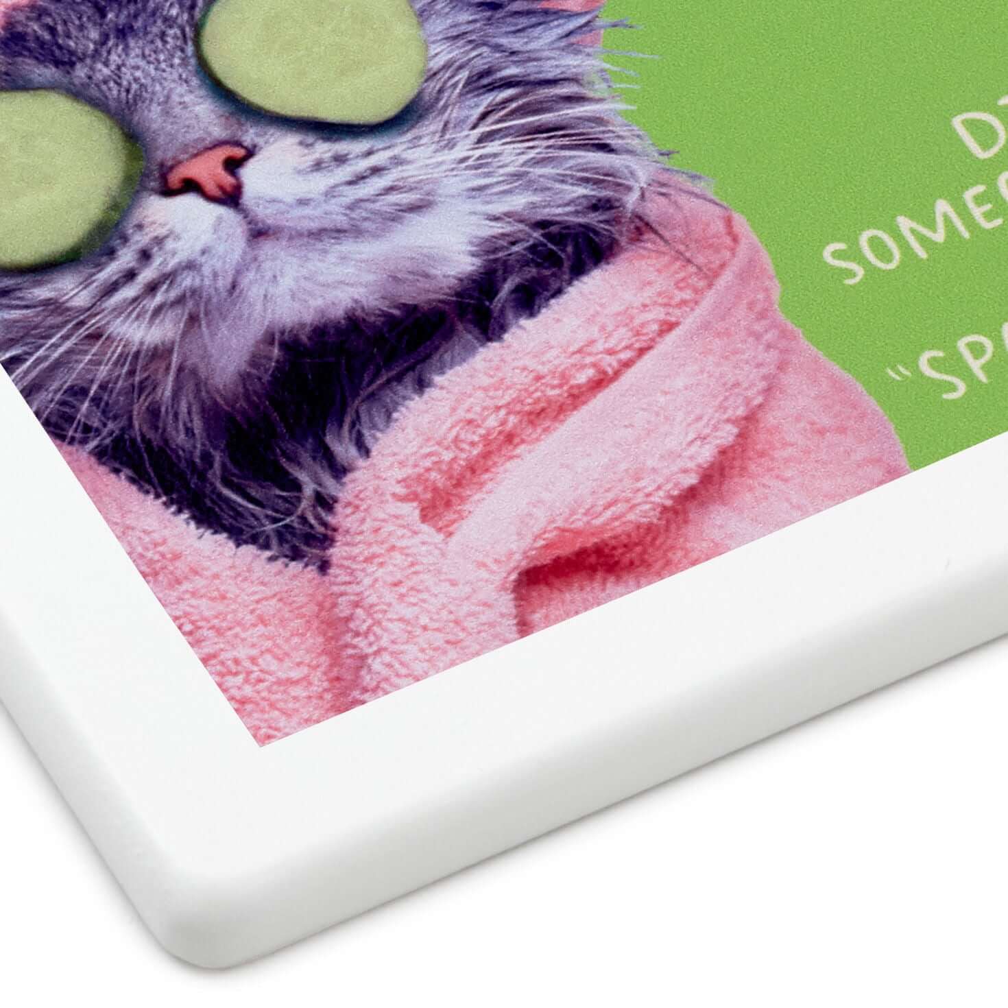 Pampered Cat Photo Funny Coaster - Image 4