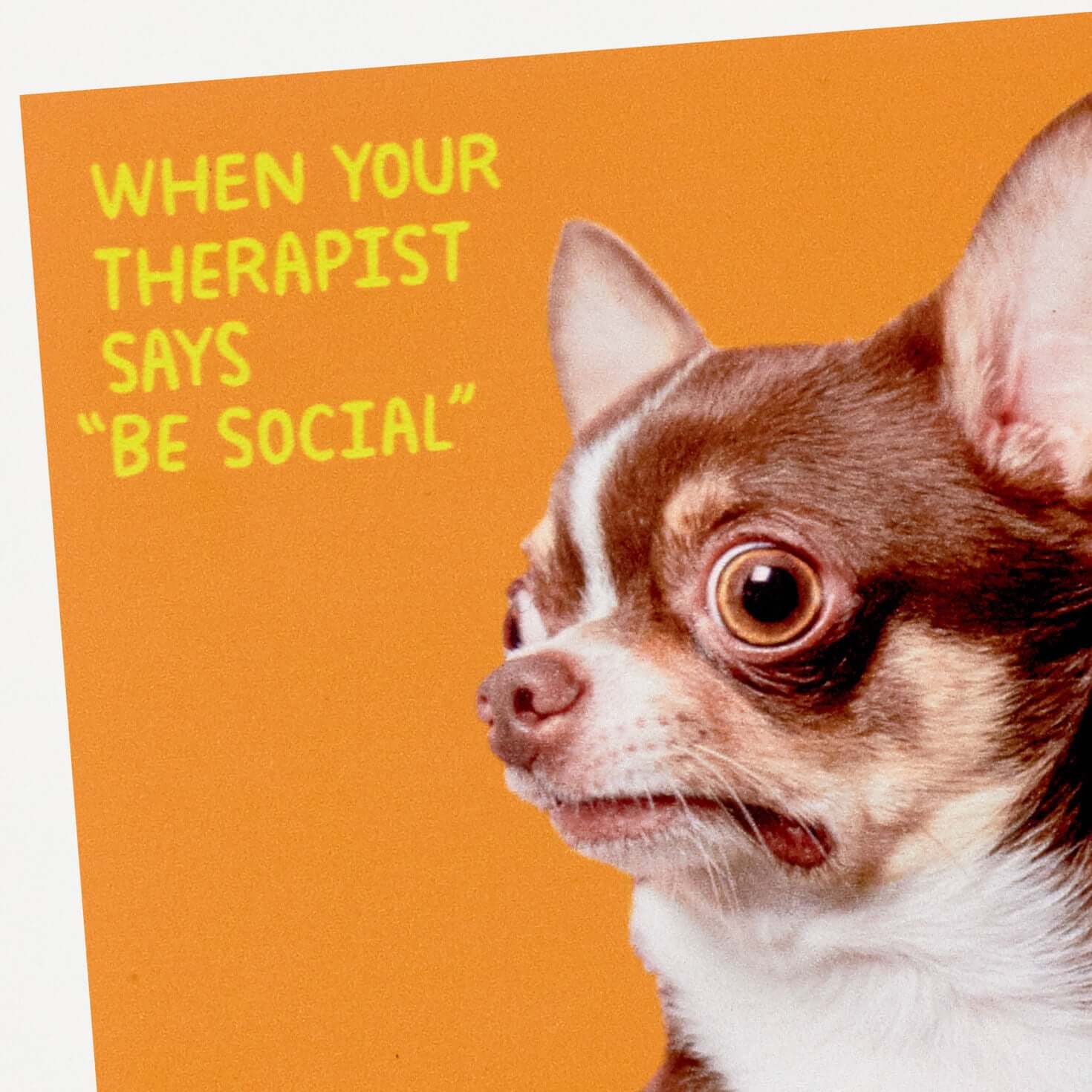 Scared Chihuahua Photo Funny Coaster - Image 3