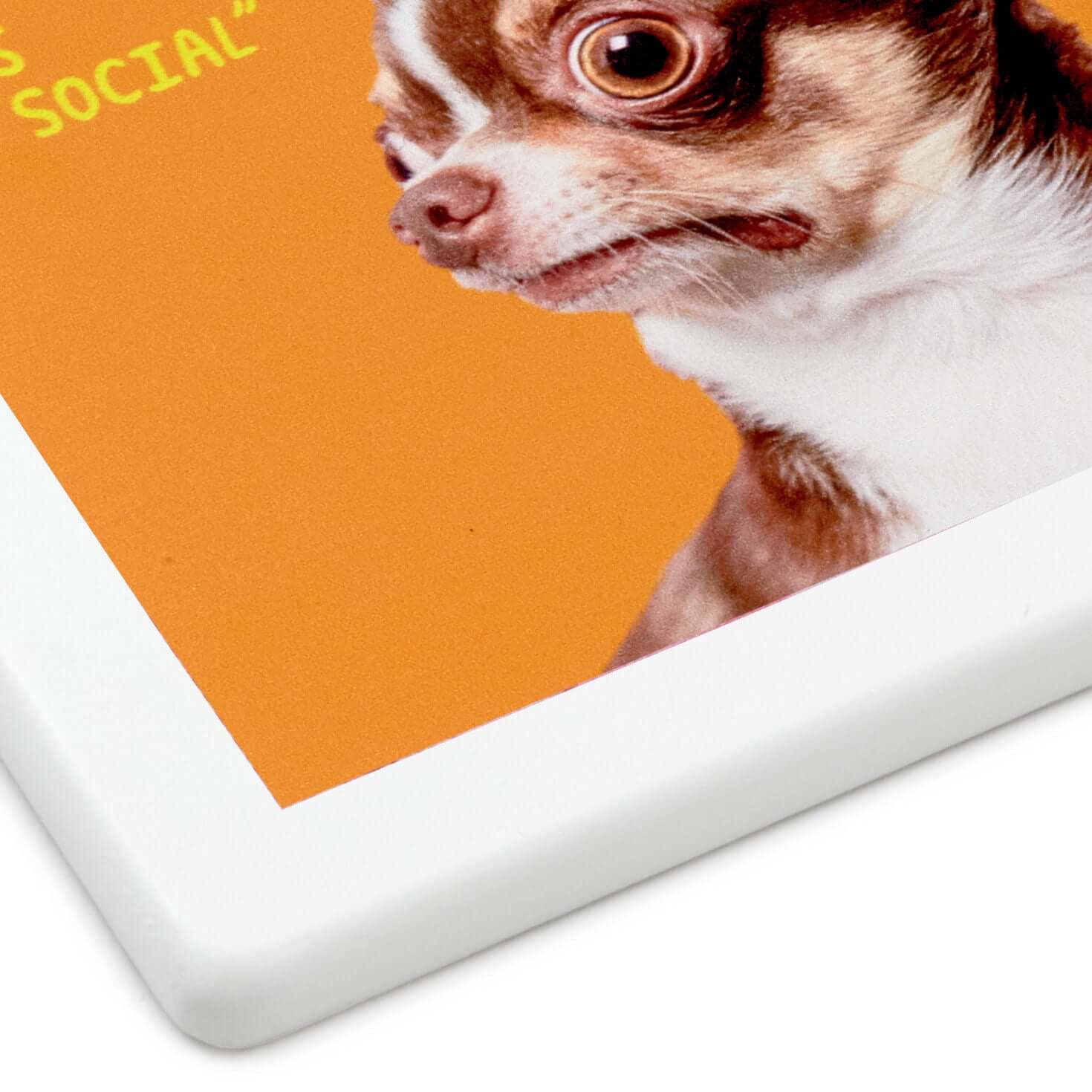 Scared Chihuahua Photo Funny Coaster - Image 4