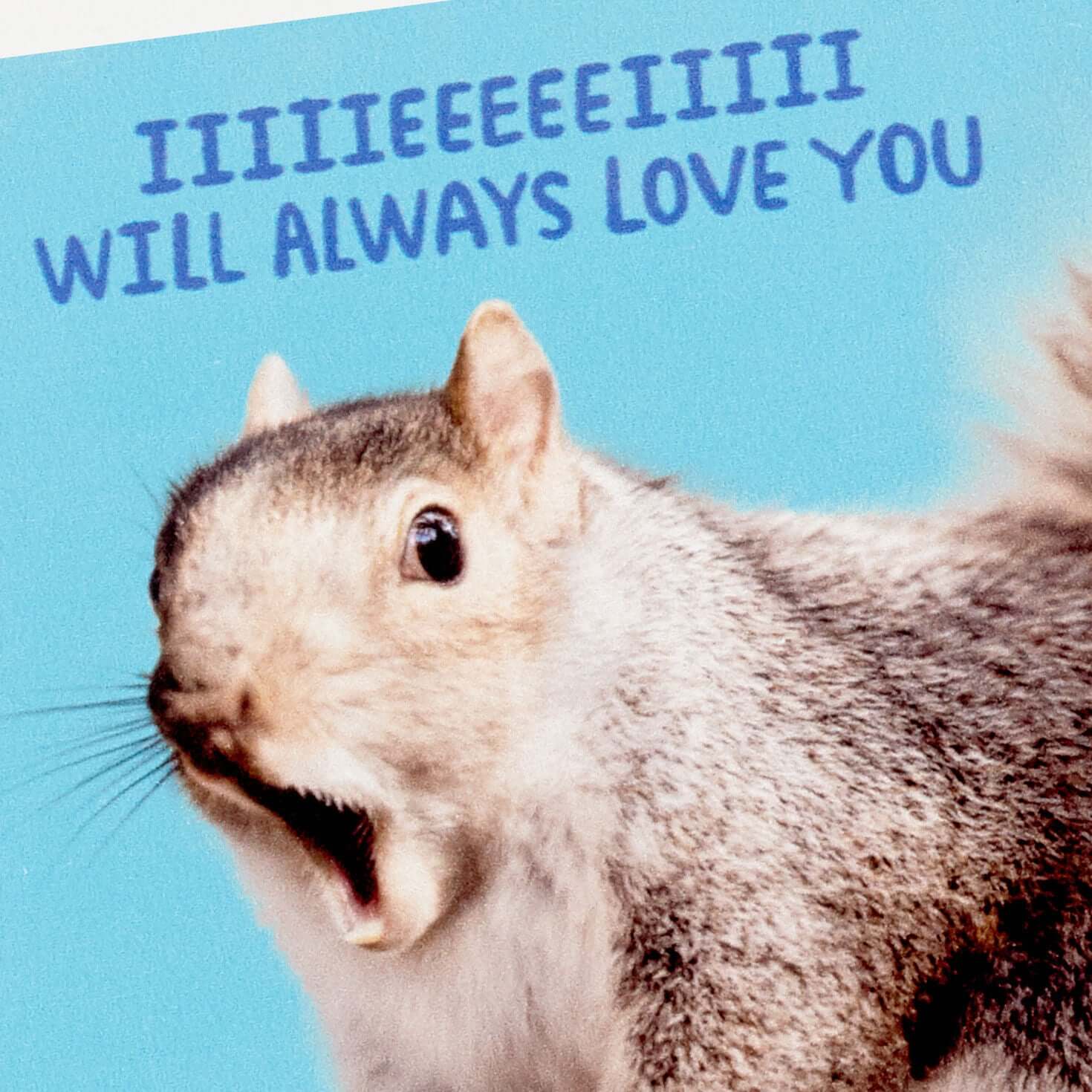 Singing Squirrel Photo Funny Coaster - Image 3