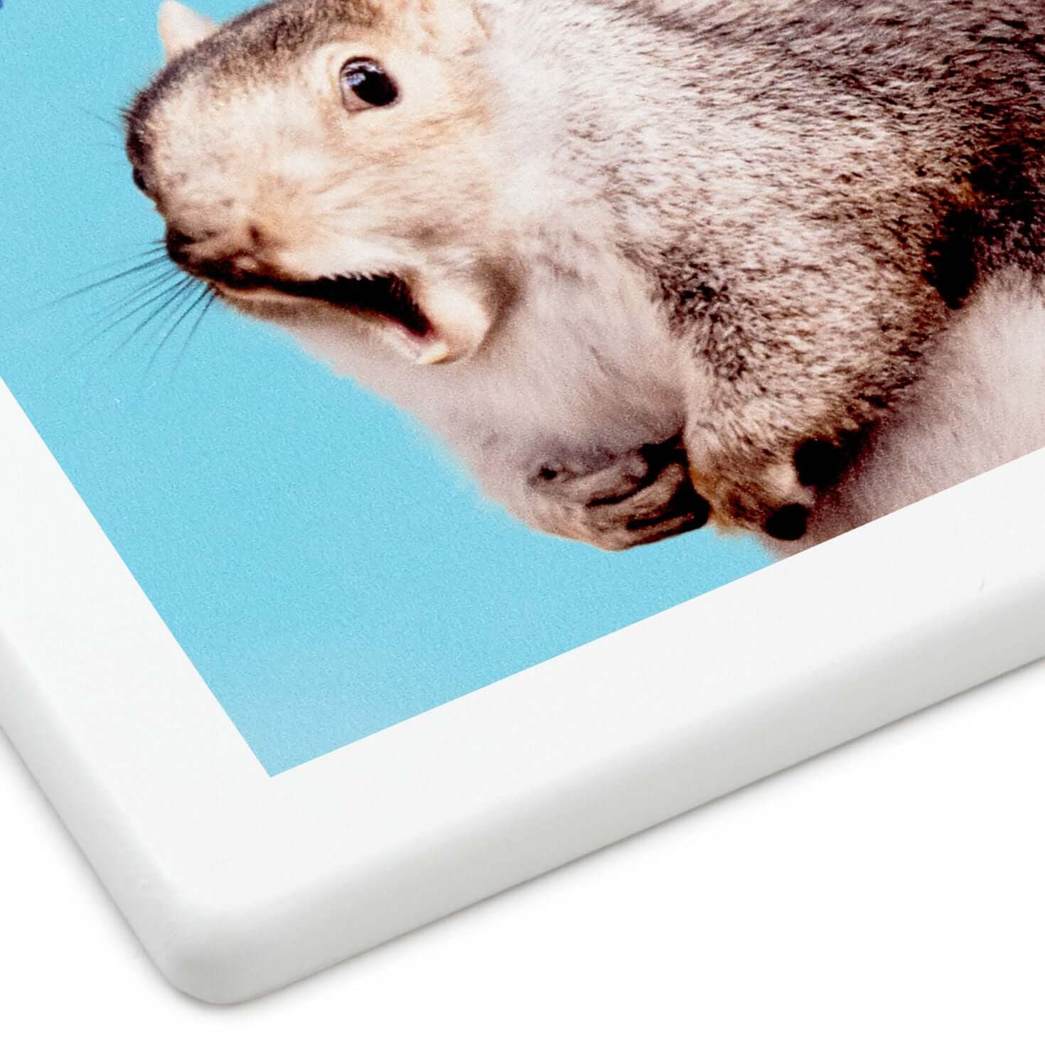 Singing Squirrel Photo Funny Coaster - Image 4