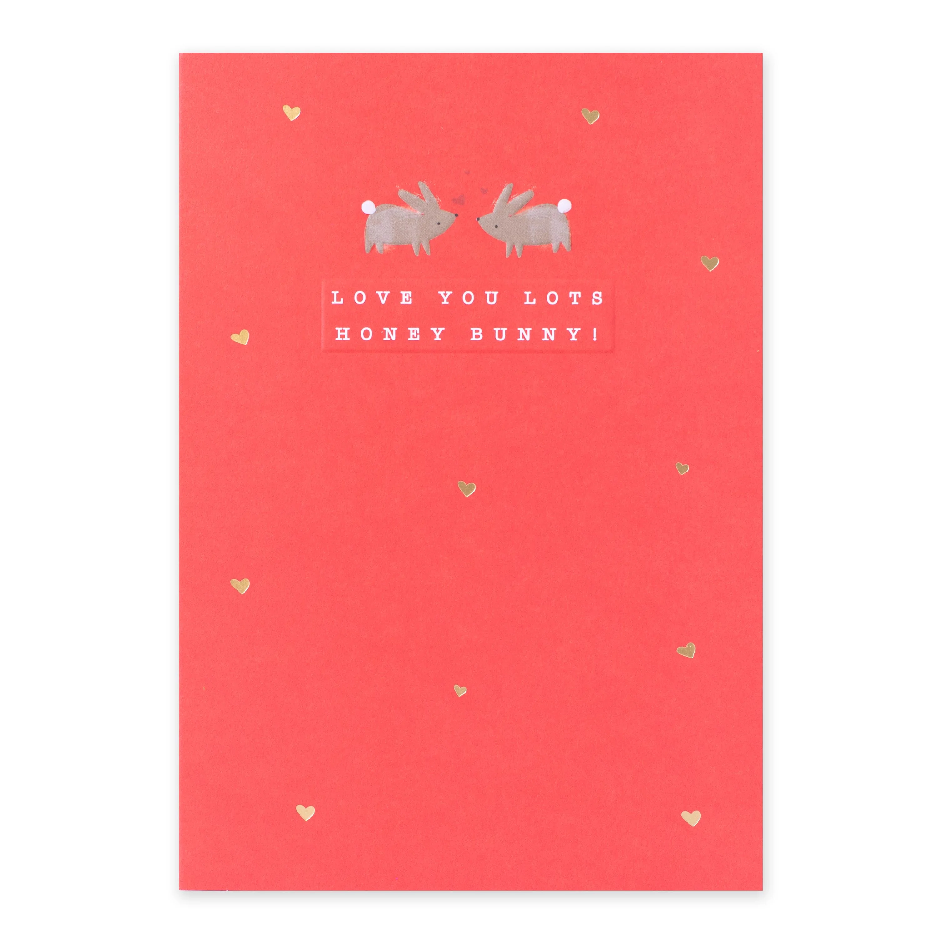 Hallmark Valentine's Day Card - Love You Lots Honey Bunny!