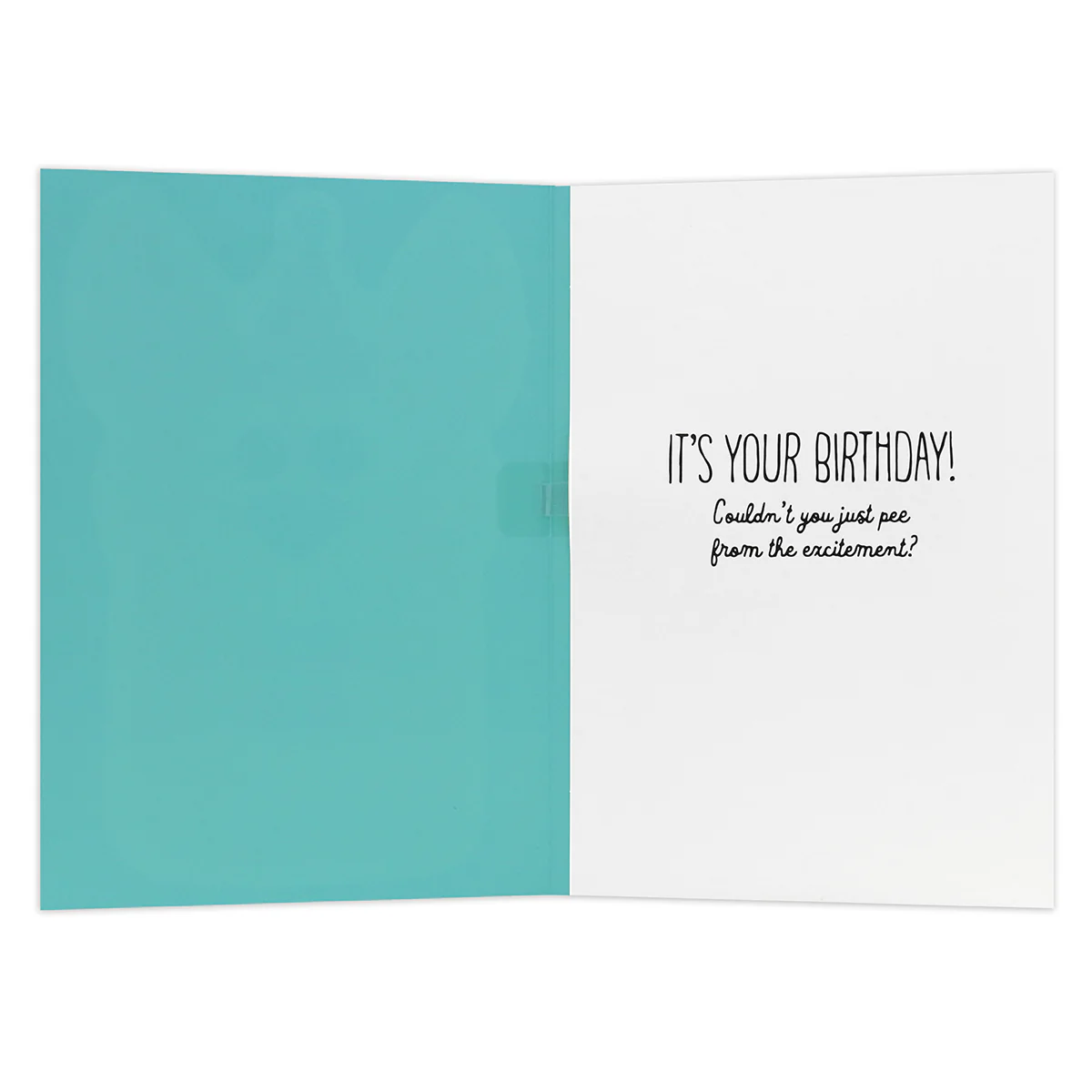 Hallmark Interactive Sound Card - Barking Birthday Song - Image 2