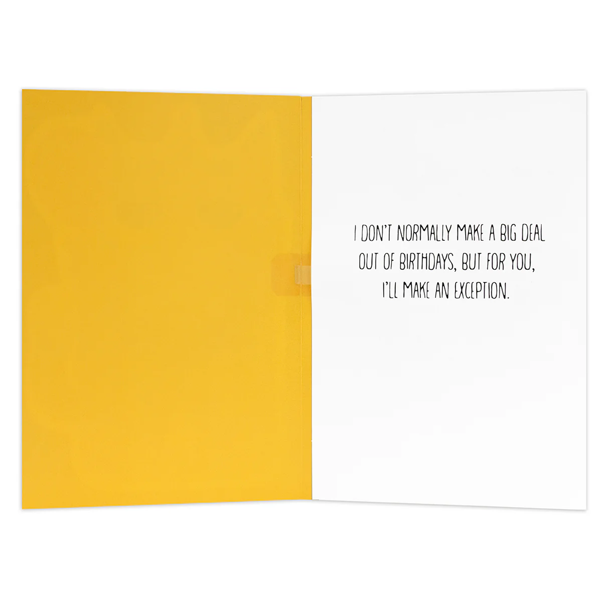 Hallmark Interactive Sound Card - Celebrating Cat - Image 2