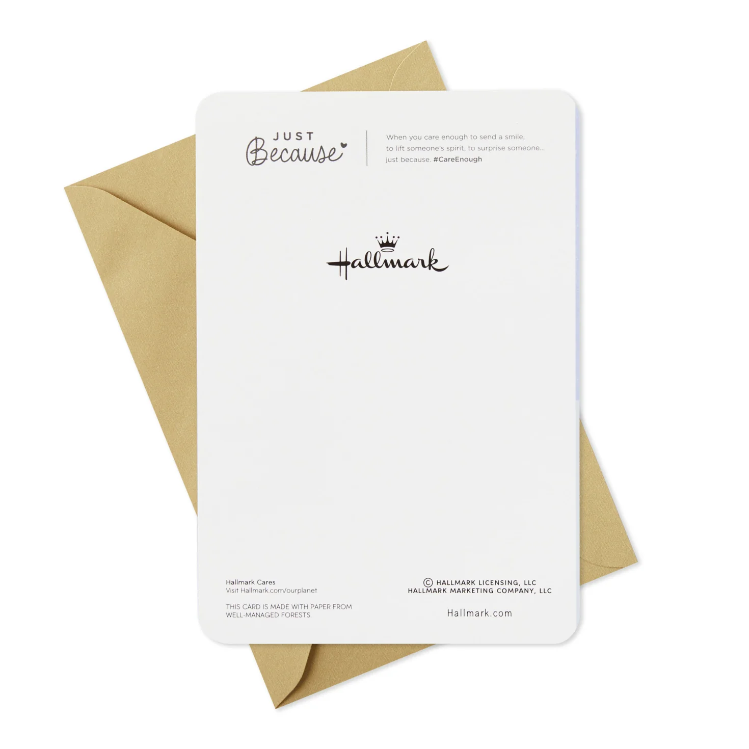 Hallmark Just Because Cards Assortment with Card Organizer Box (Pack of 10)—Congratulations, Sympathy, Thinking of You, Friendship - Image 10