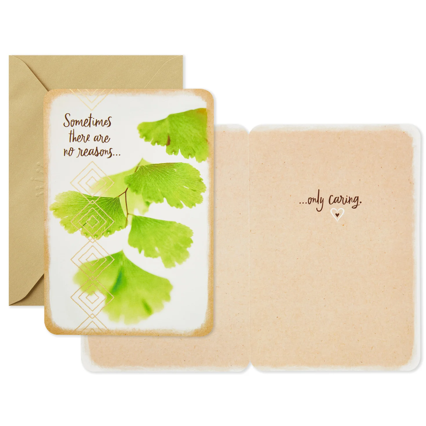 Hallmark Just Because Cards Assortment with Card Organizer Box (Pack of 10)—Congratulations, Sympathy, Thinking of You, Friendship - Image 3