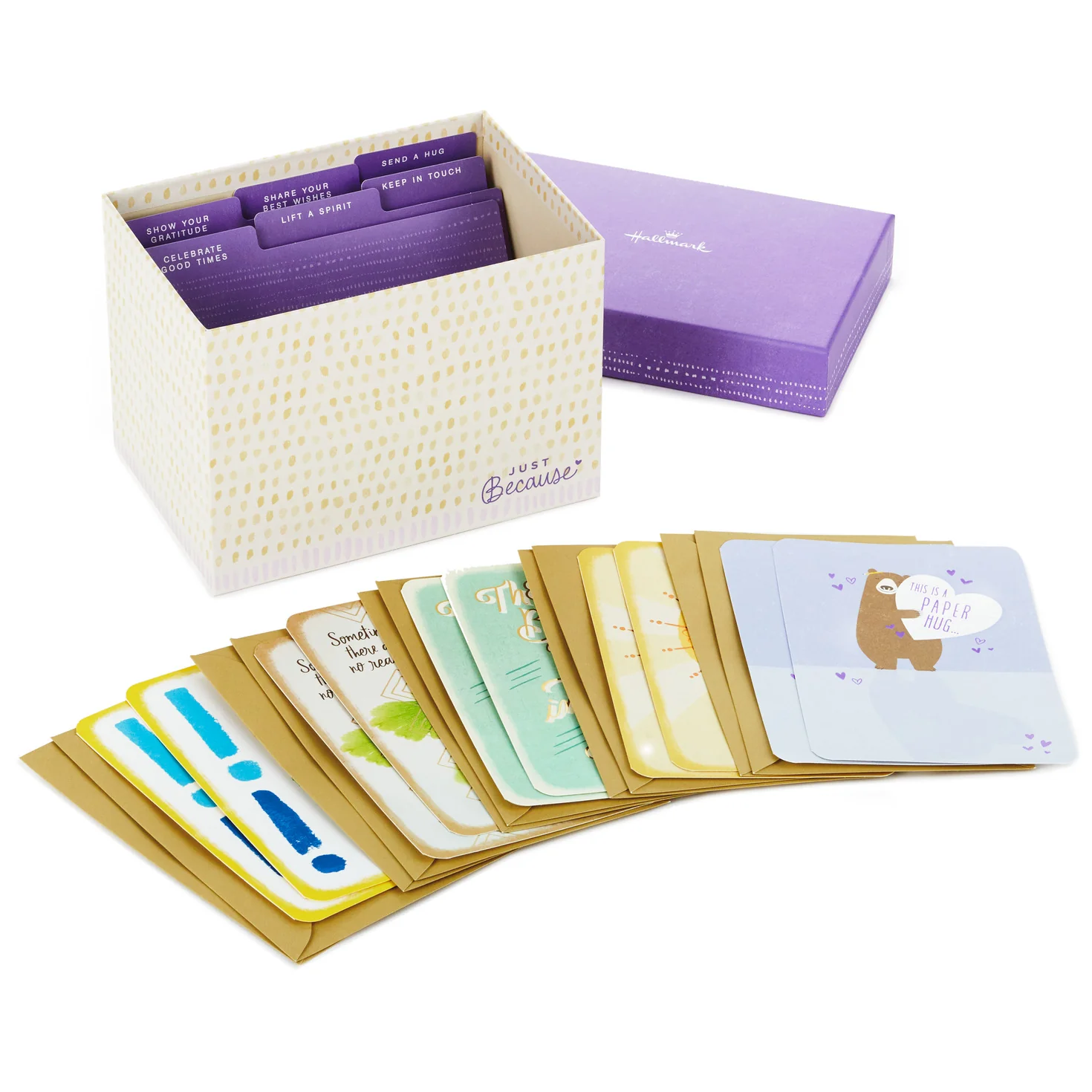 Hallmark Just Because Cards Assortment with Card Organizer Box (Pack of 10)—Congratulations, Sympathy, Thinking of You, Friendship - Image 9