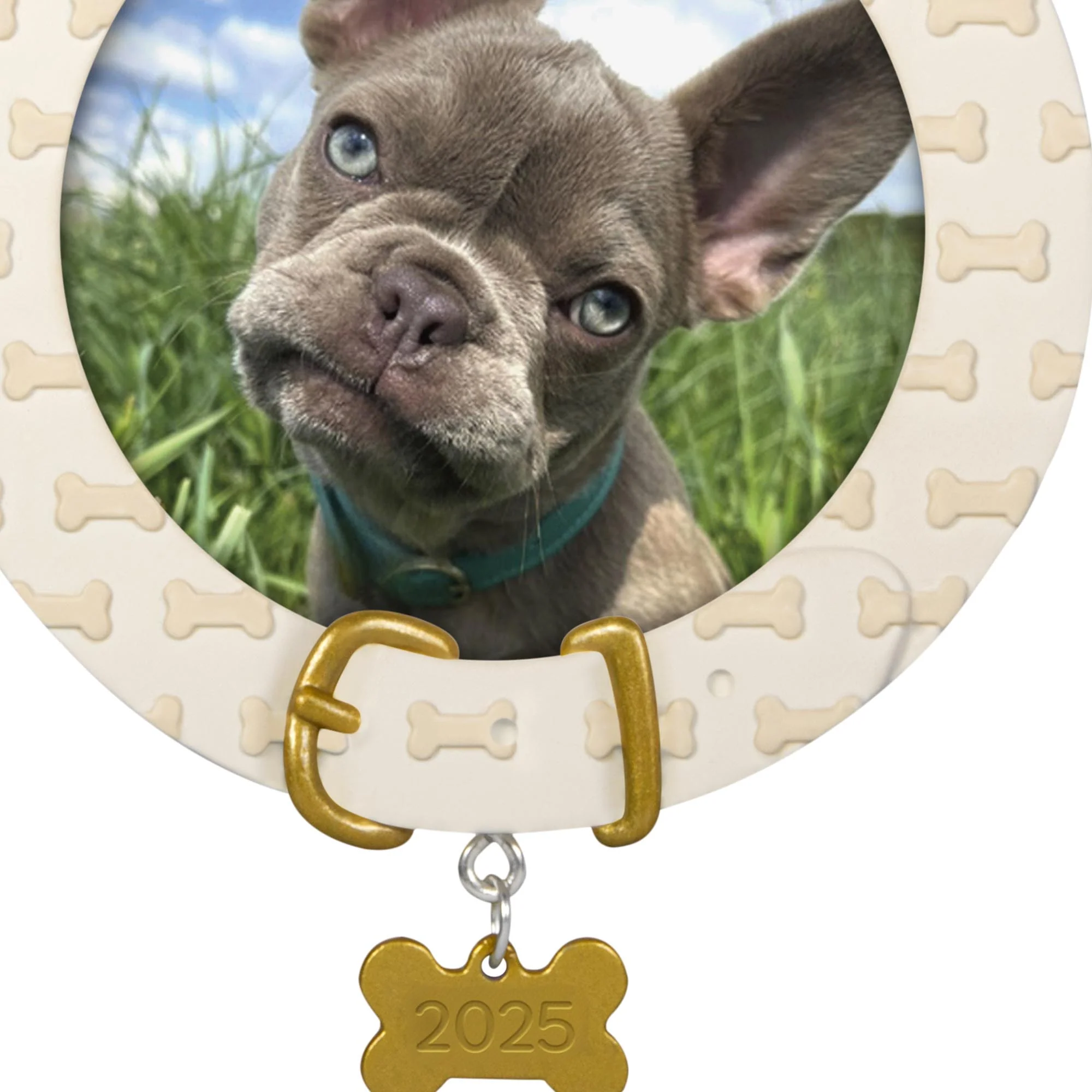 Faithful Friend, Photo Frame — 2025 Hallmark Keepsake Christmas Ornament - Image 4