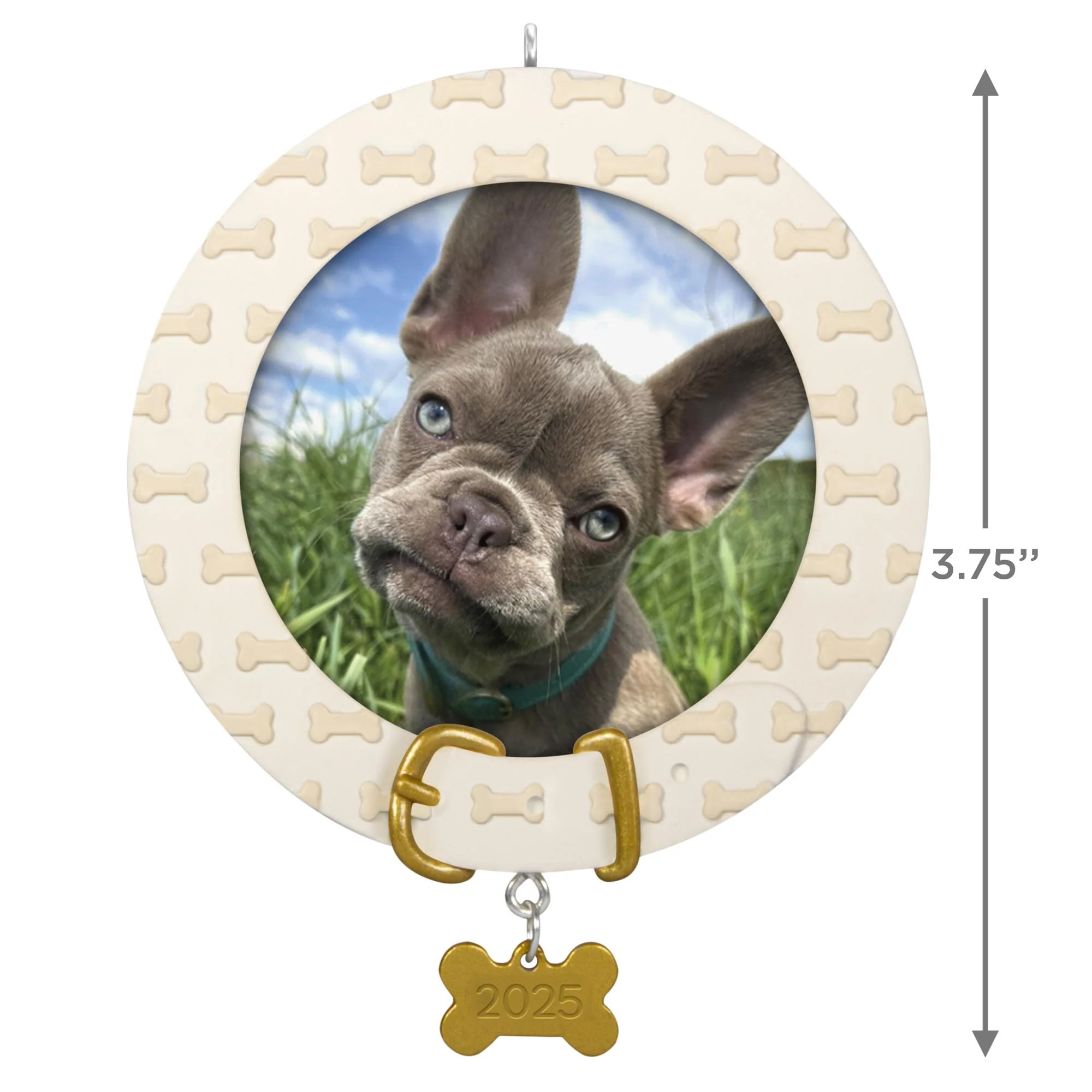 Faithful Friend, Photo Frame — 2025 Hallmark Keepsake Christmas Ornament - Image 6