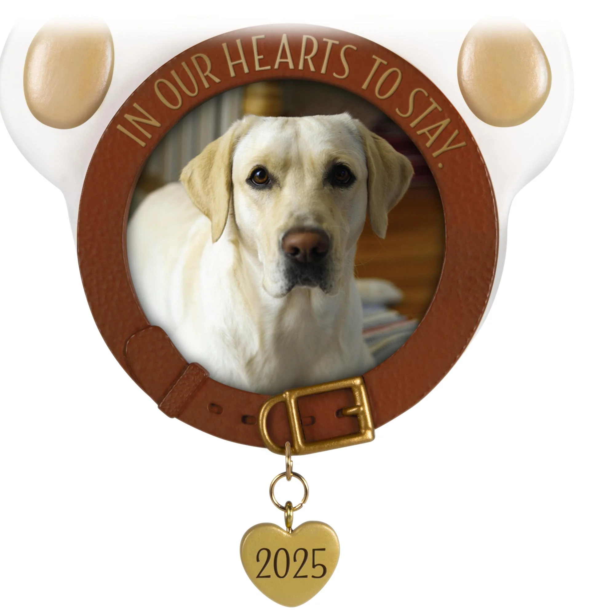 In Our Hearts to Stay, Pet Photo Holder — 2025 Hallmark Keepsake Christmas Ornament - Image 3
