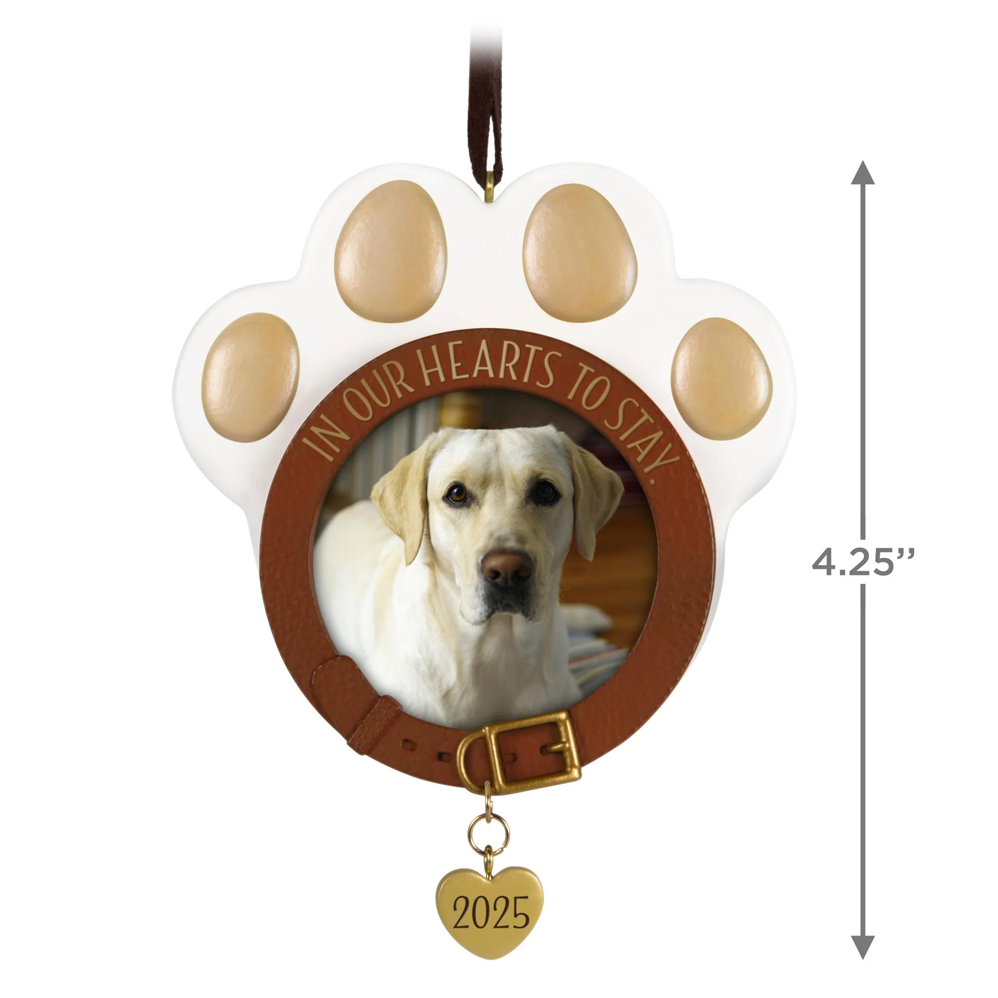 In Our Hearts to Stay, Pet Photo Holder — 2025 Hallmark Keepsake Christmas Ornament - Image 5