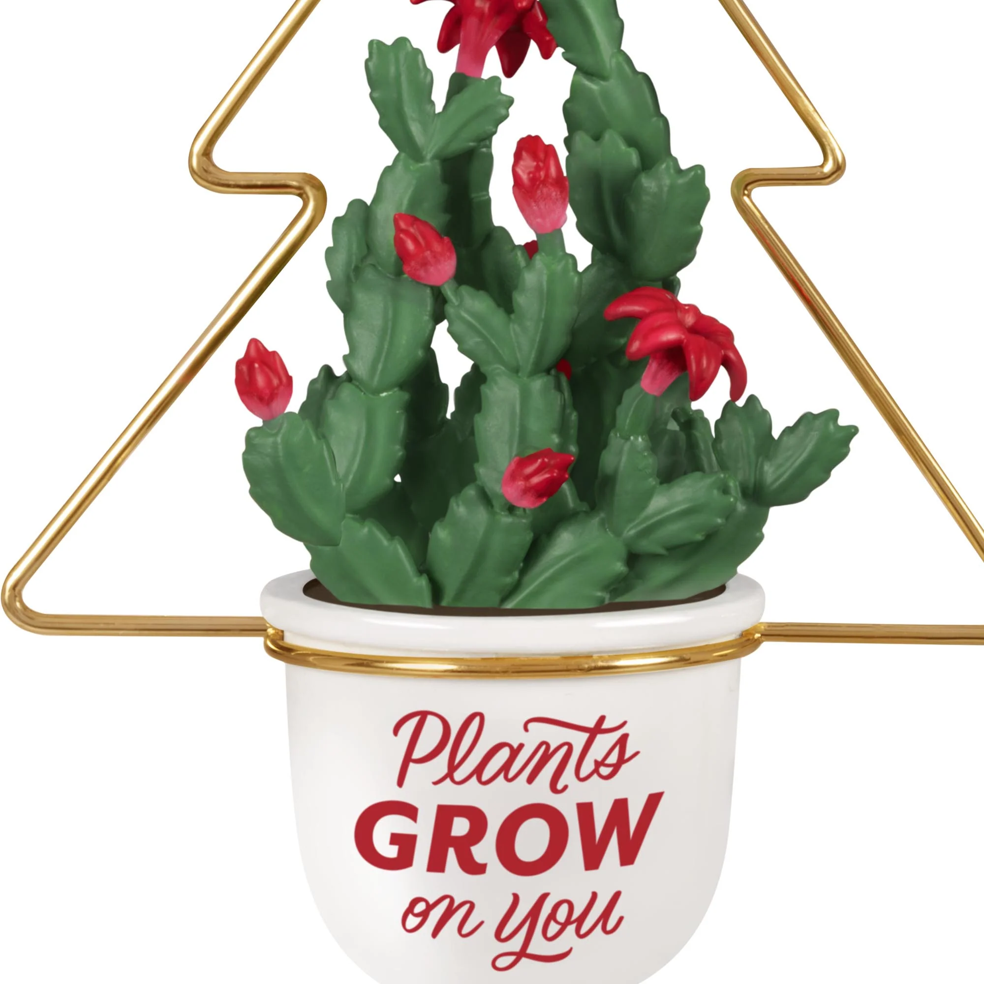 Plants Grow On You — 2025 Hallmark Keepsake Christmas Ornament - Image 4