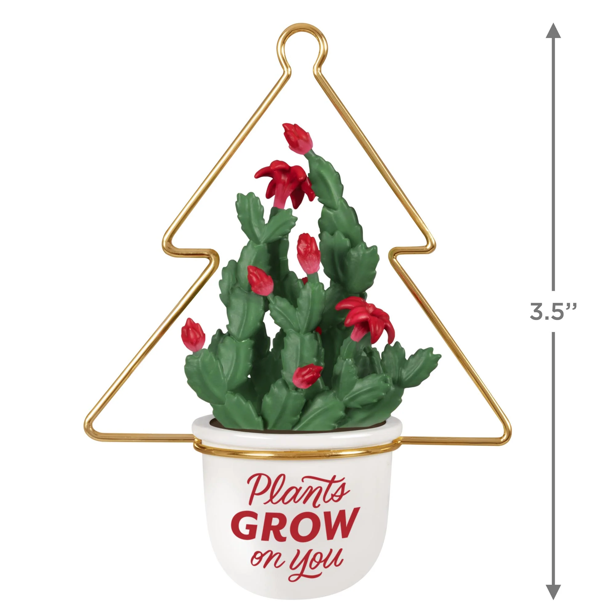 Plants Grow On You — 2025 Hallmark Keepsake Christmas Ornament - Image 6