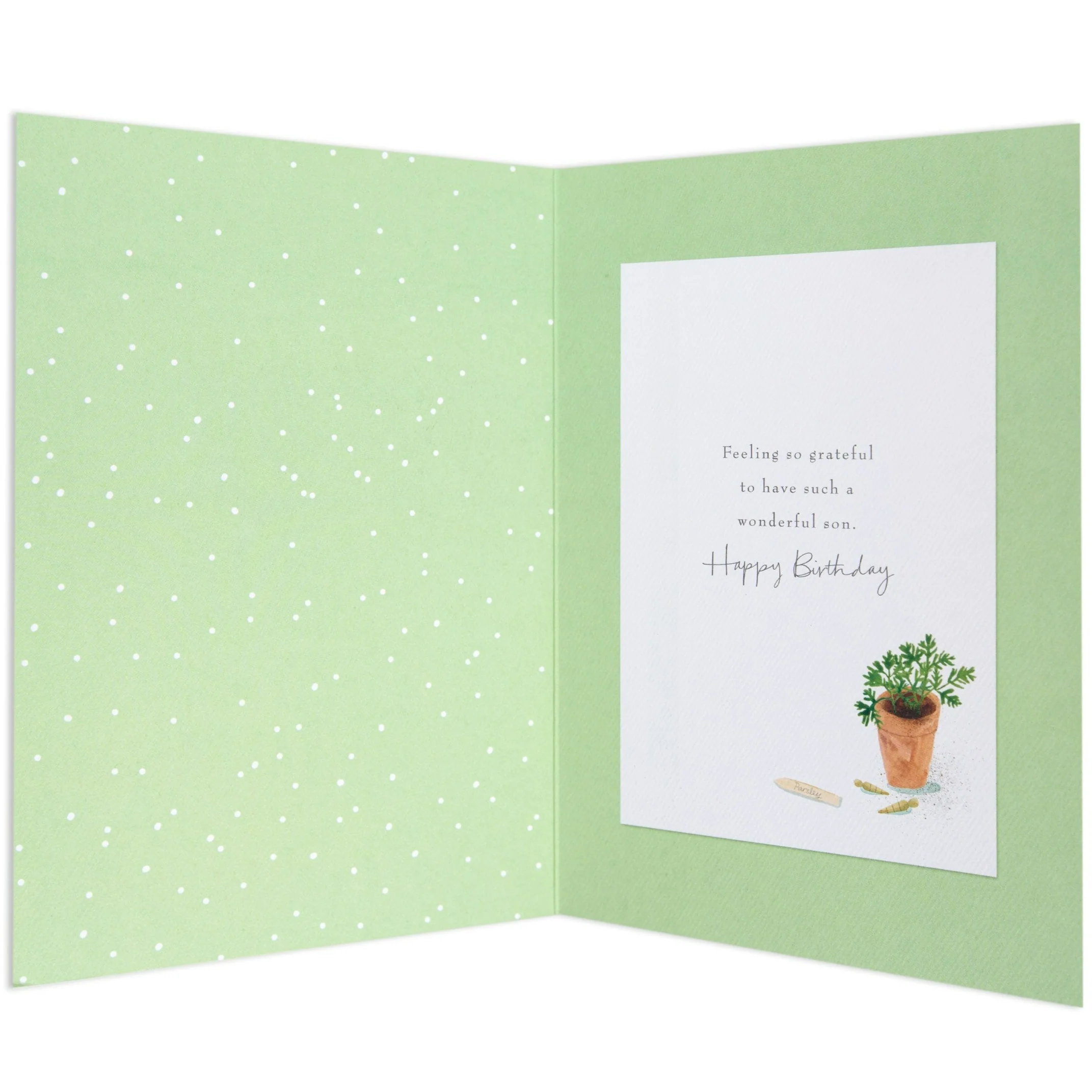Sentimental Green Thumb Son Birthday Card - Image 2