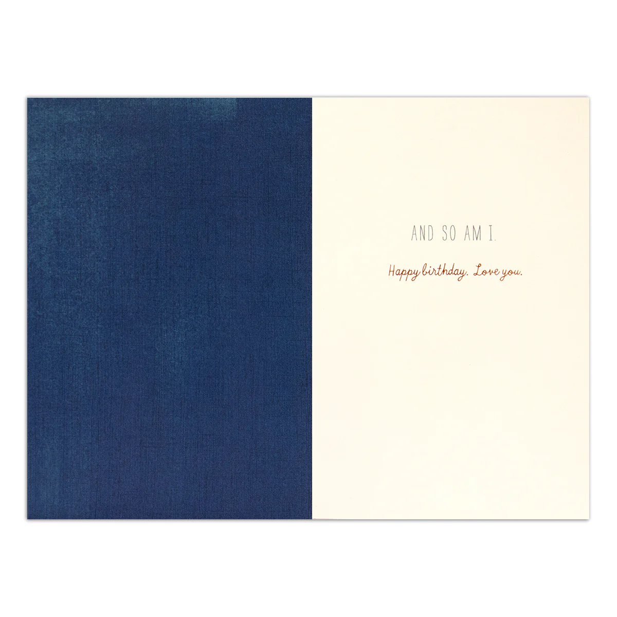 Hallmark Signature Birthday Card - Lucky & Love - Image 2