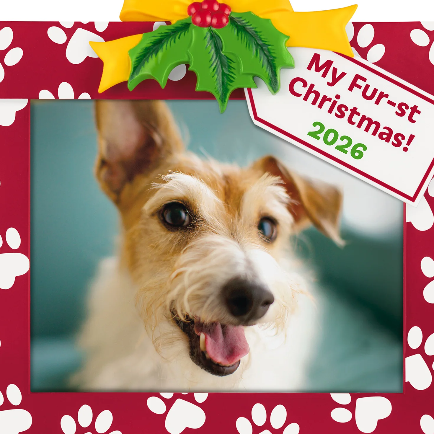 My Fur-st Christmas 2026 Photo Frame — 2026 Hallmark Keepsake Christmas Ornament - Image 4