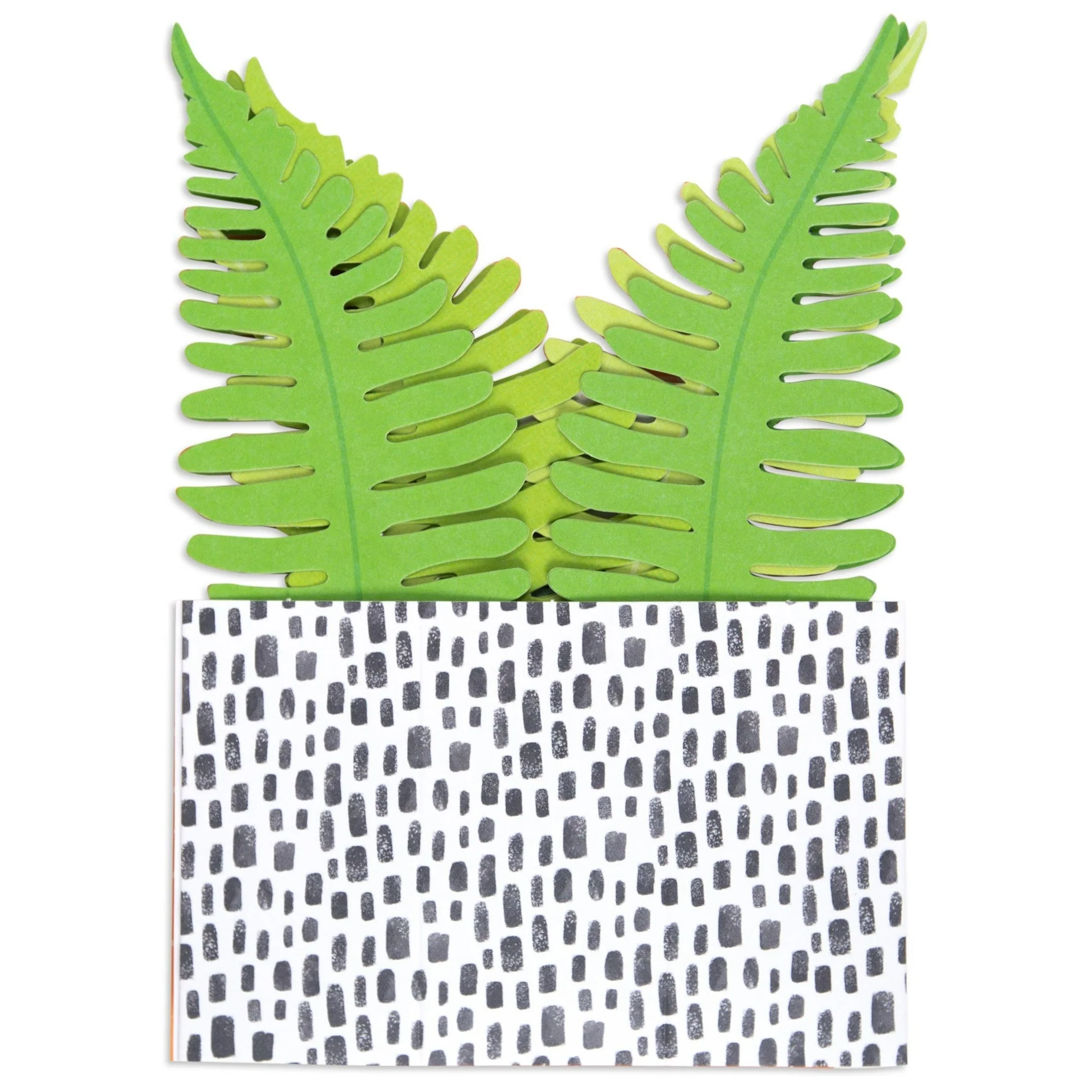 Paper Wonder Pot Plant - Fern - Image 2