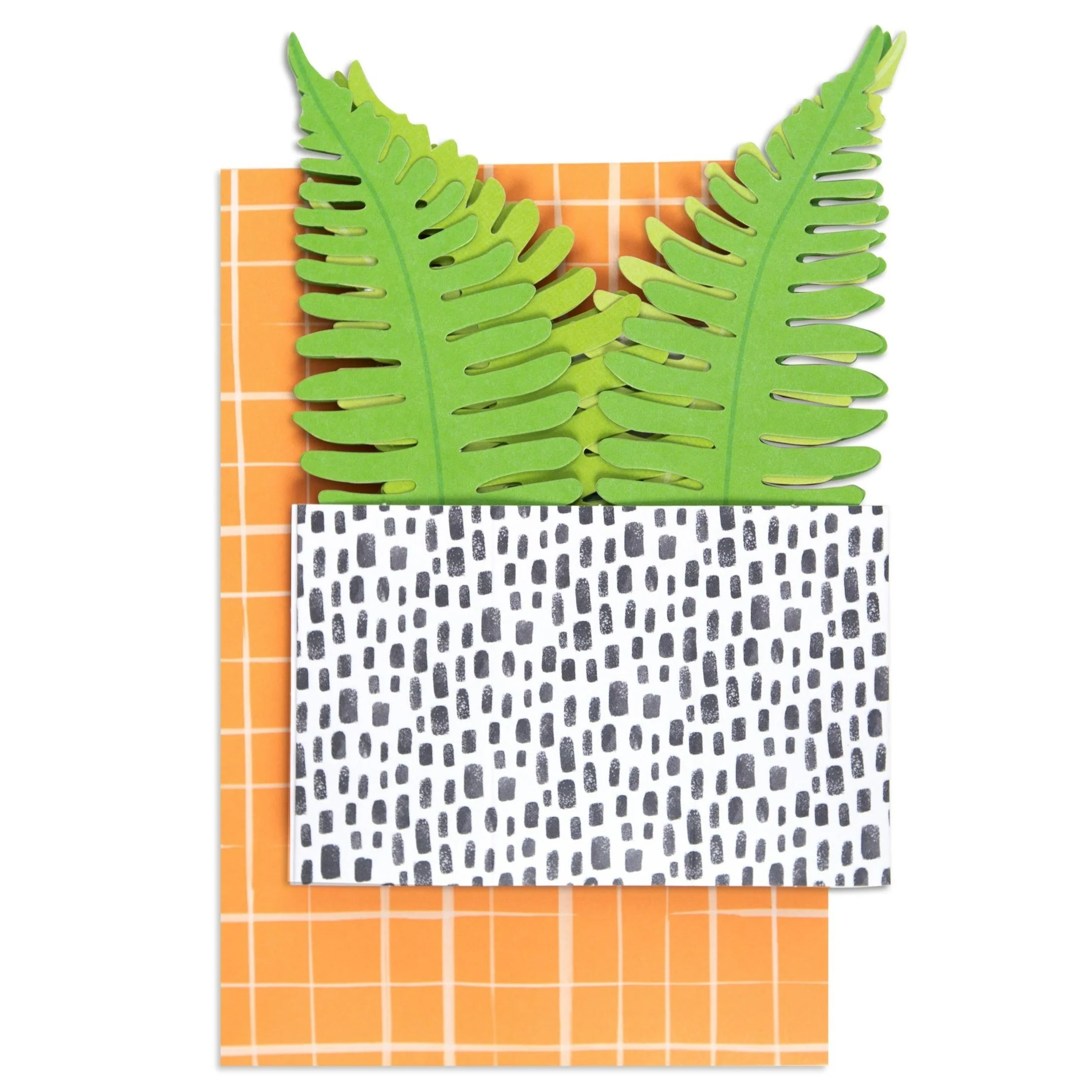 Paper Wonder Pot Plant - Fern - Image 3