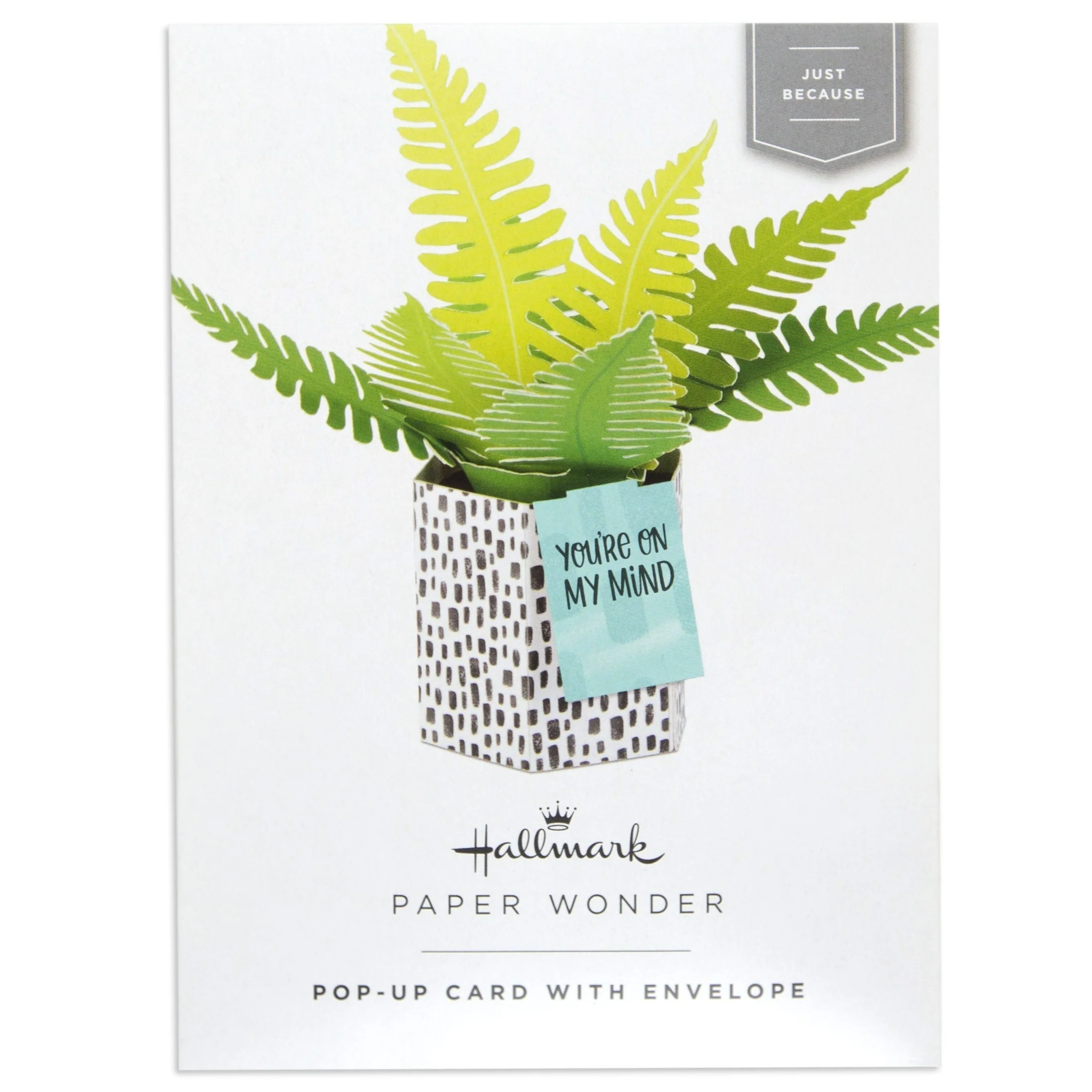 Paper Wonder Pot Plant - Fern - Image 4