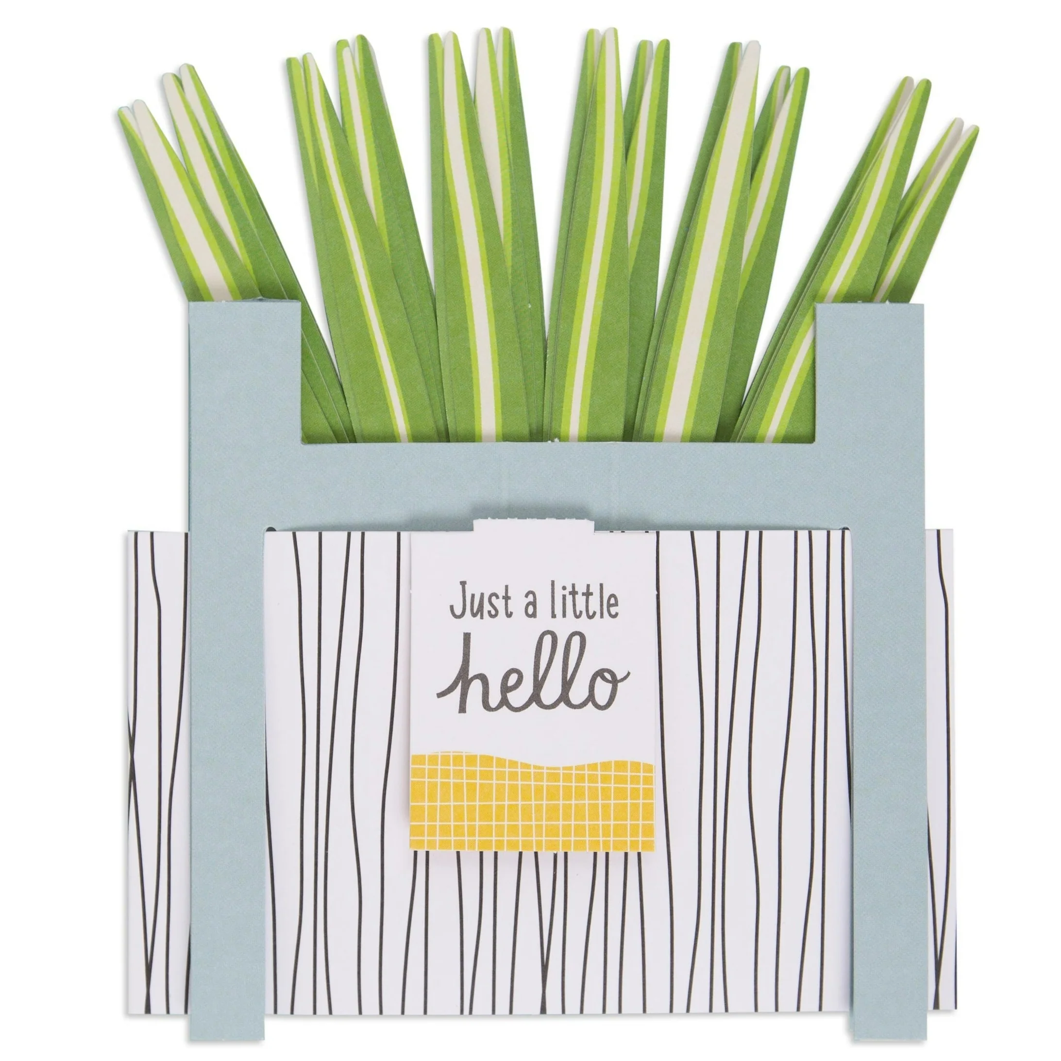 Paper Wonder Pot Plant - Spider Plant - Image 2