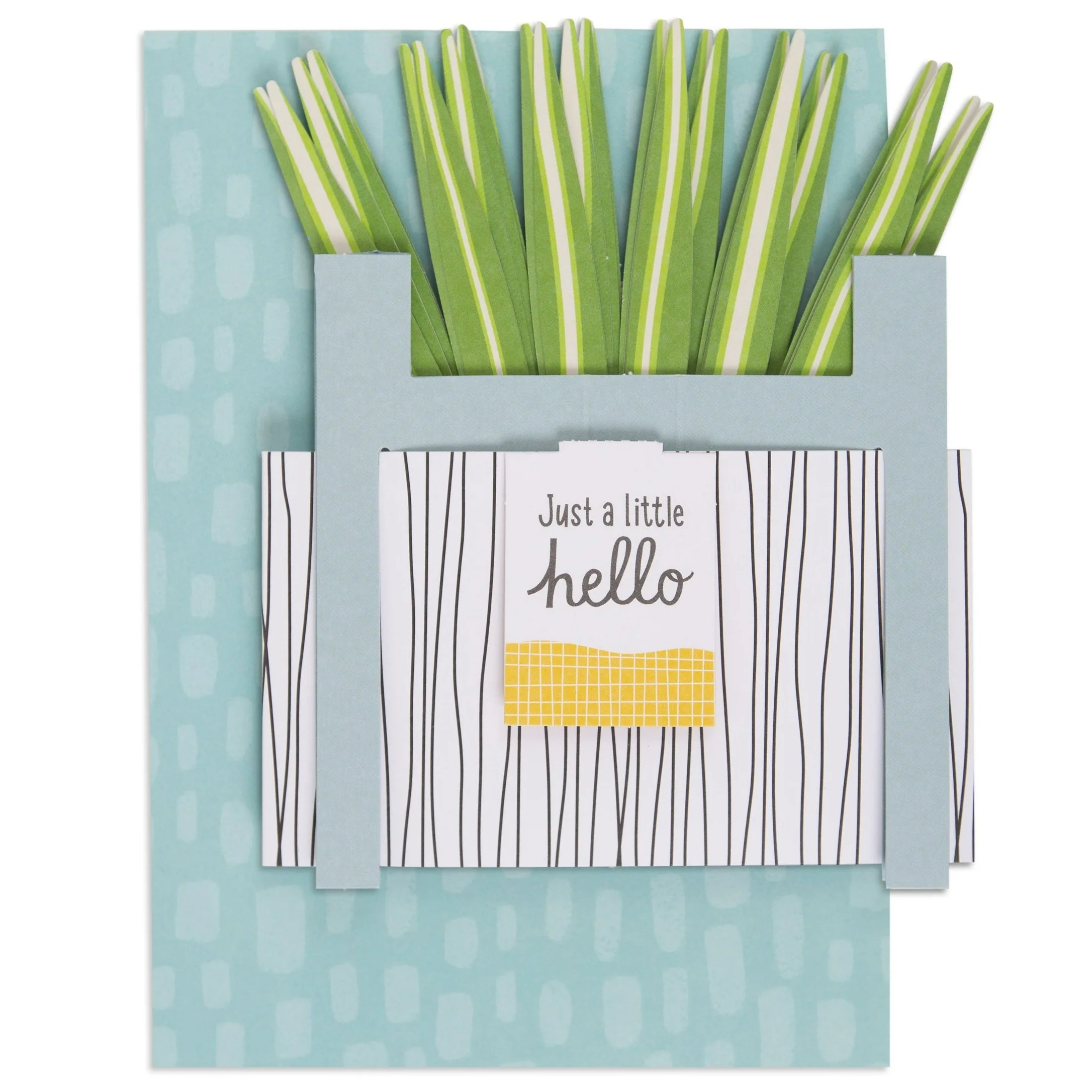 Paper Wonder Pot Plant - Spider Plant - Image 3