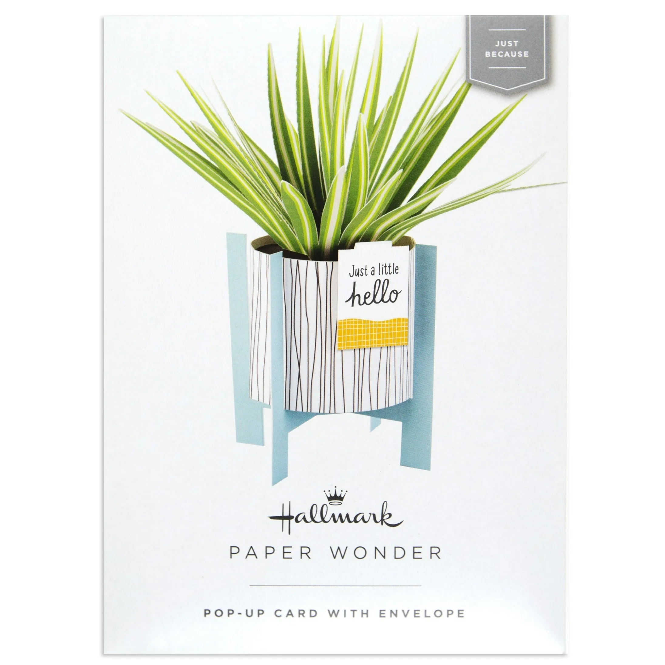 Paper Wonder Pot Plant - Spider Plant - Image 4