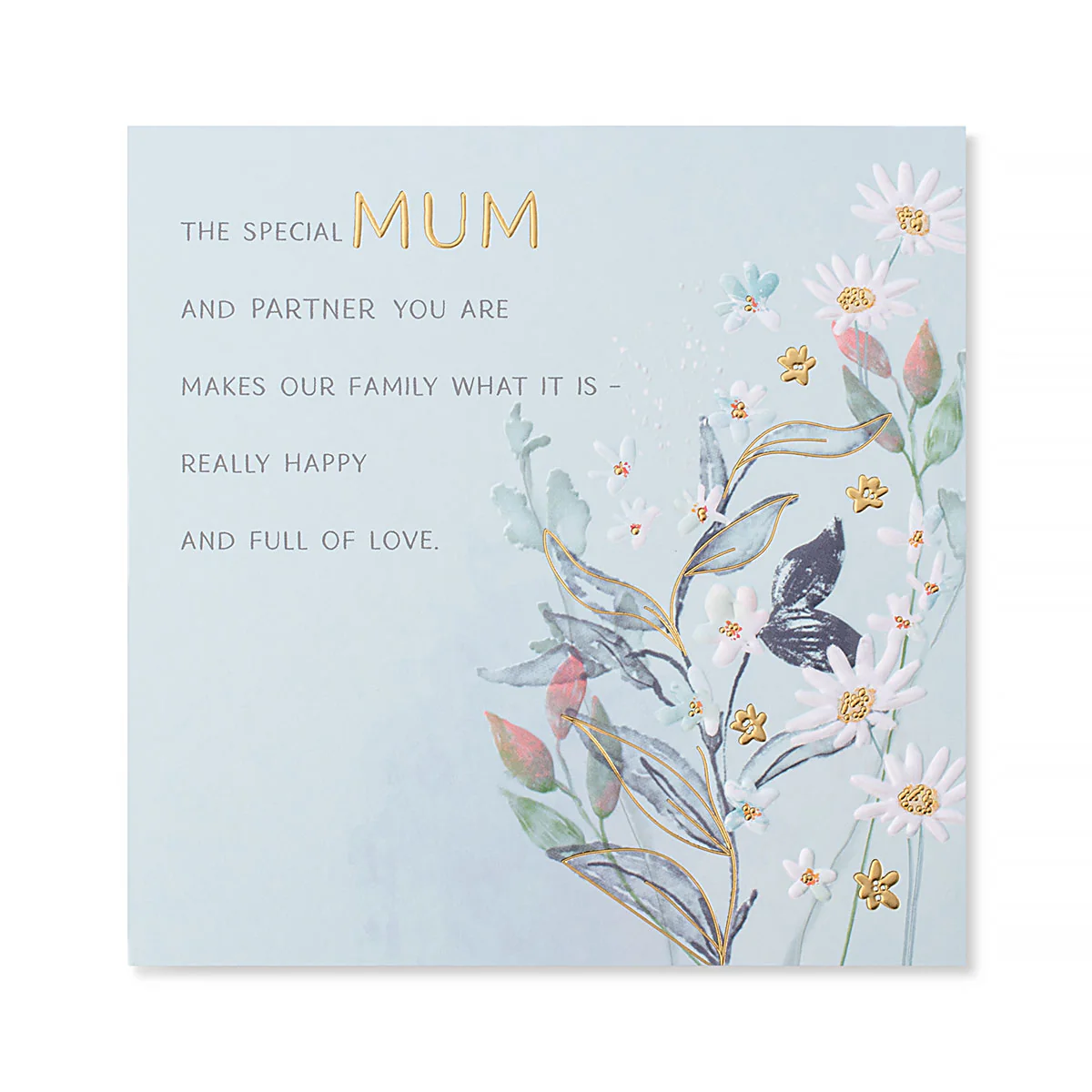 Hallmark Mother's Day Card - The special Mum and Partner you are makes our family what it is - really happy and full of love.