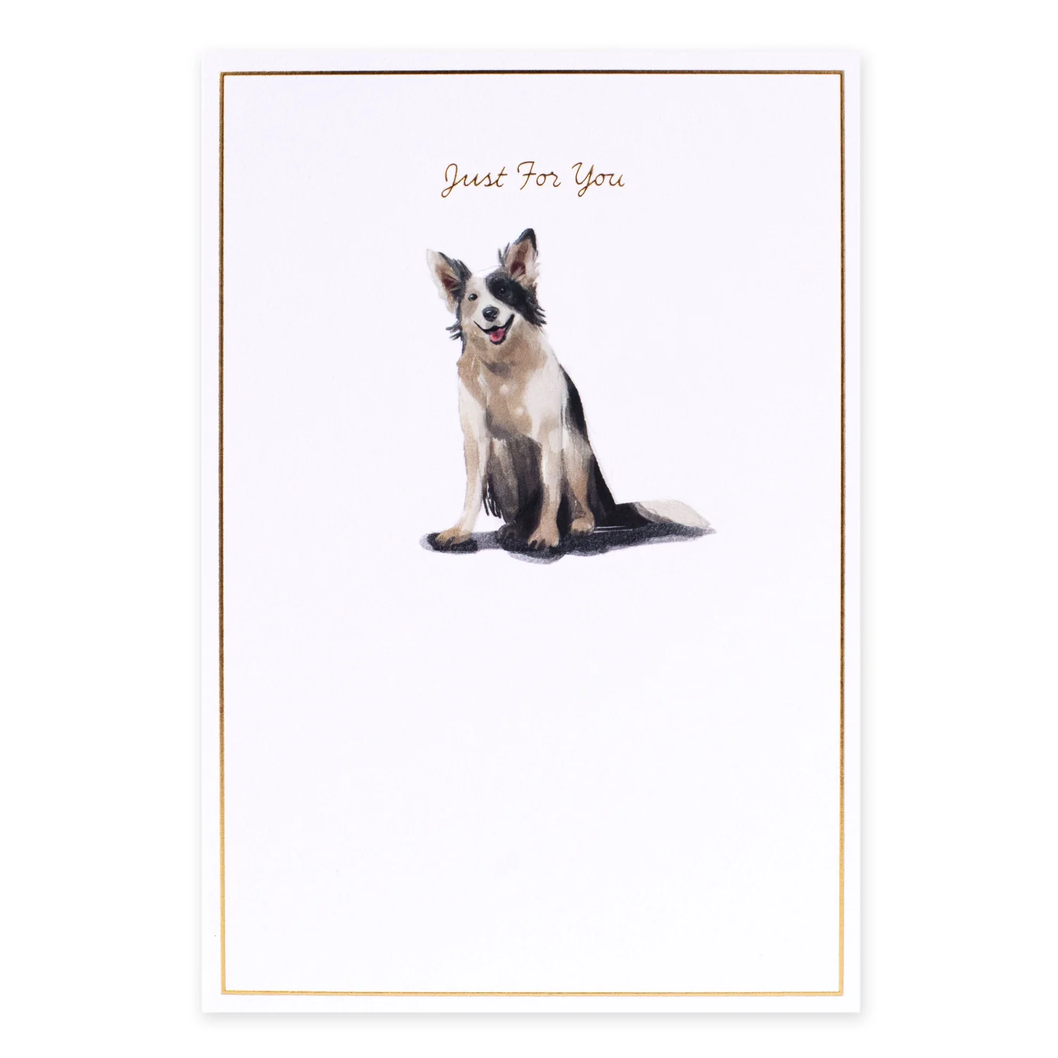 Hallmark Whimsical Whiskers Just For You Greeting Card - Border Collie Dog