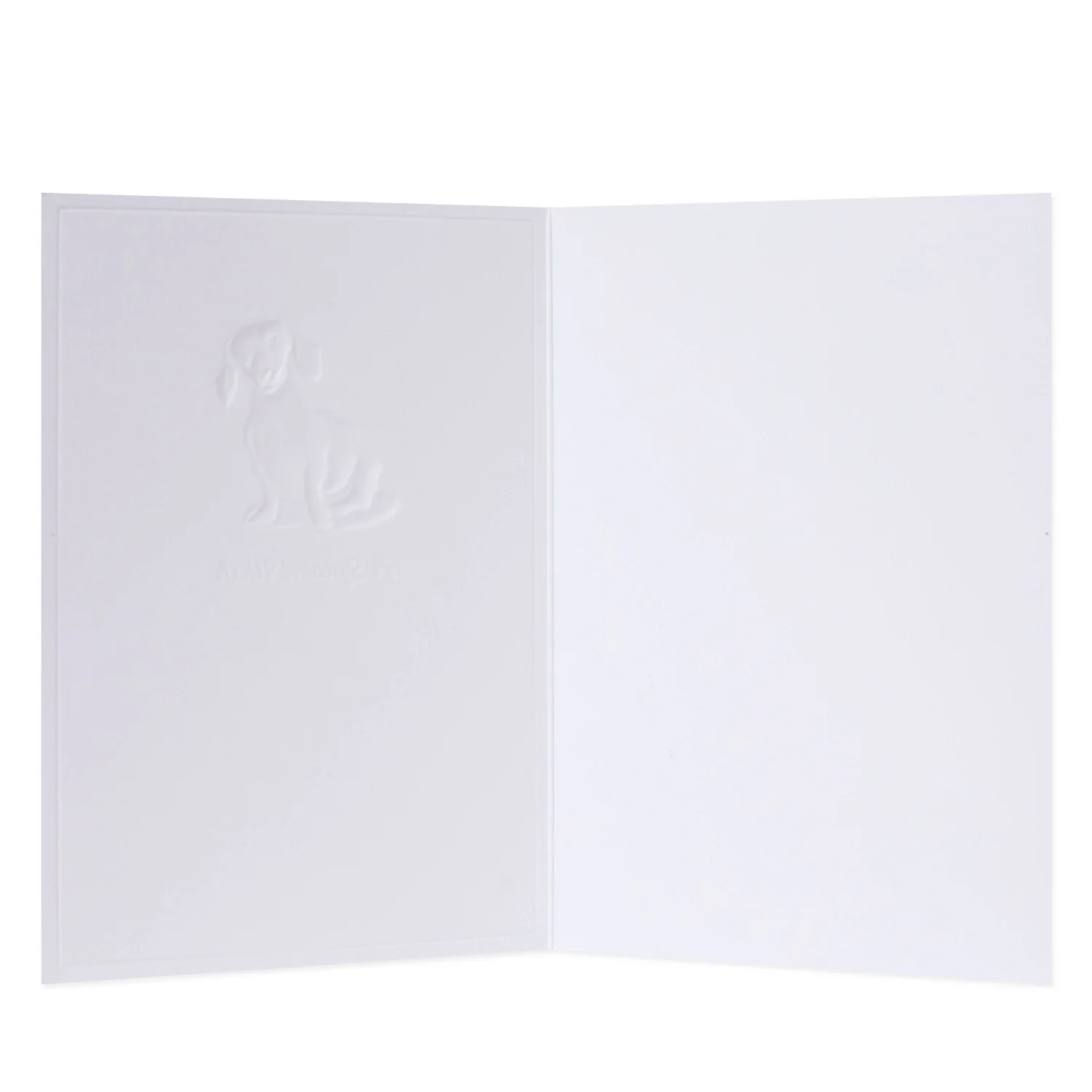 Hallmark Whimsical Whiskers A Special Wish Greeting Card - Daschund Dog - Image 2