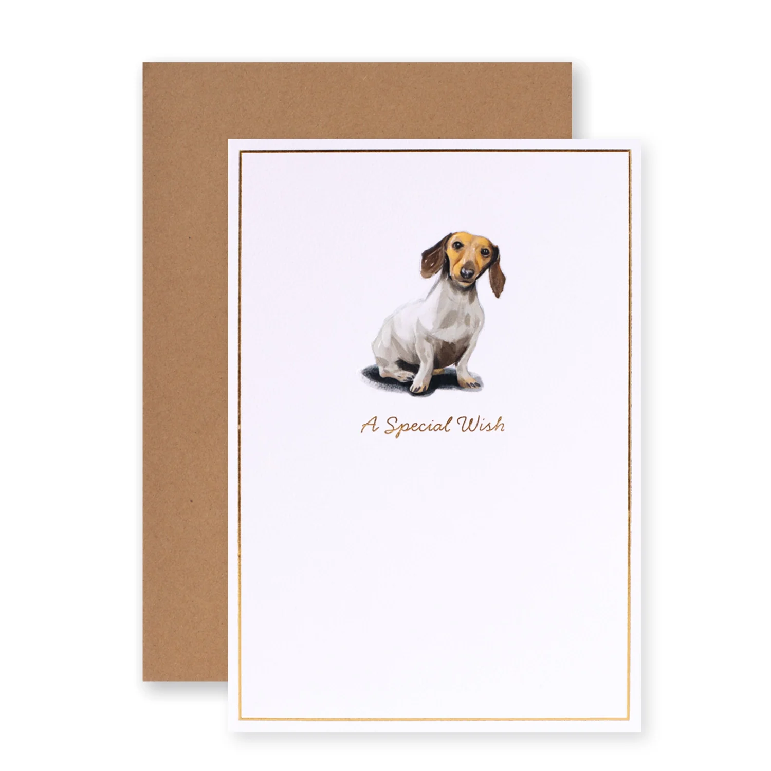 Hallmark Whimsical Whiskers A Special Wish Greeting Card - Daschund Dog - Image 3