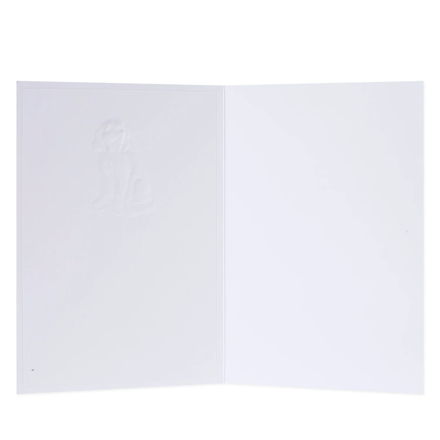 Hallmark Whimsical Whiskers With Love Greeting Card - Maltese Dog - Image 2