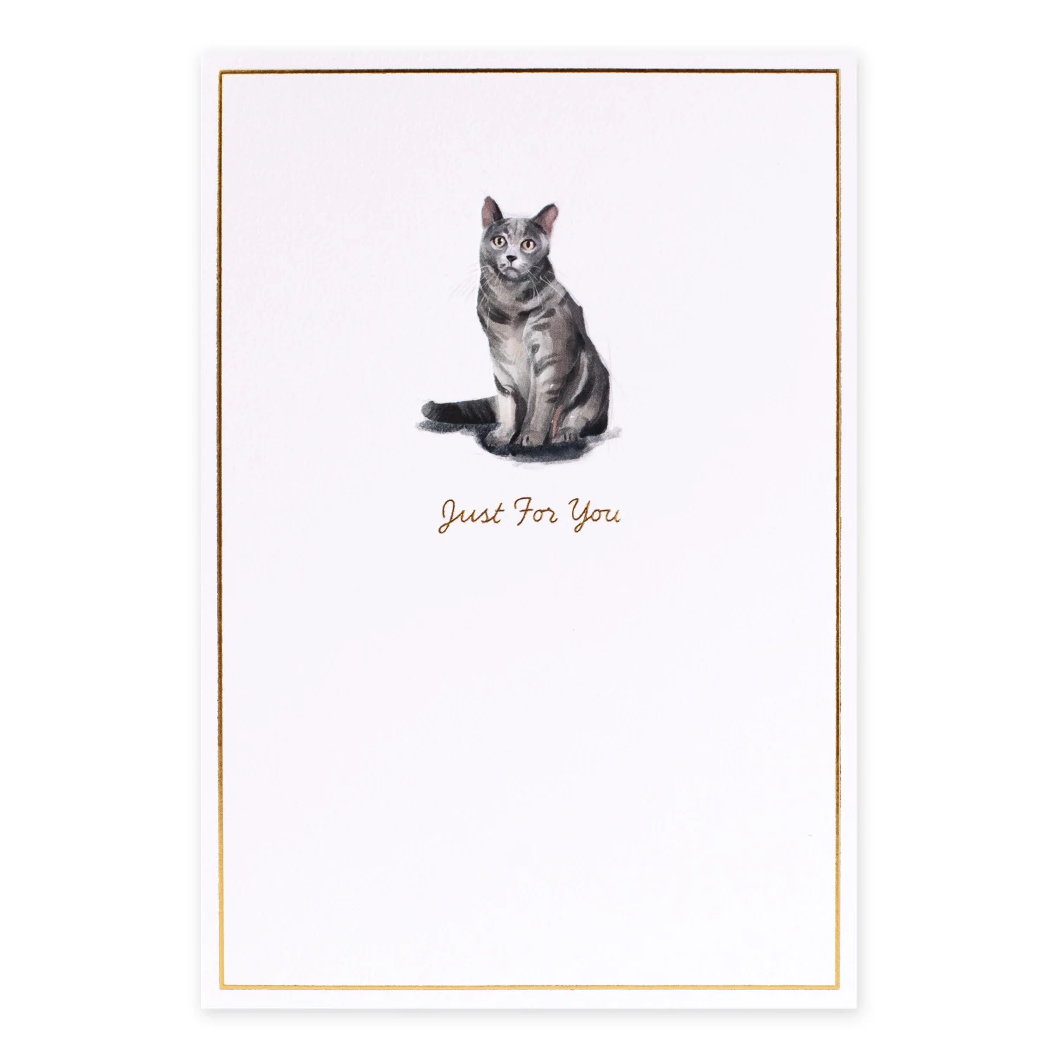 Hallmark Whimsical Whiskers Just For You Greeting Card - Shorthair Cat