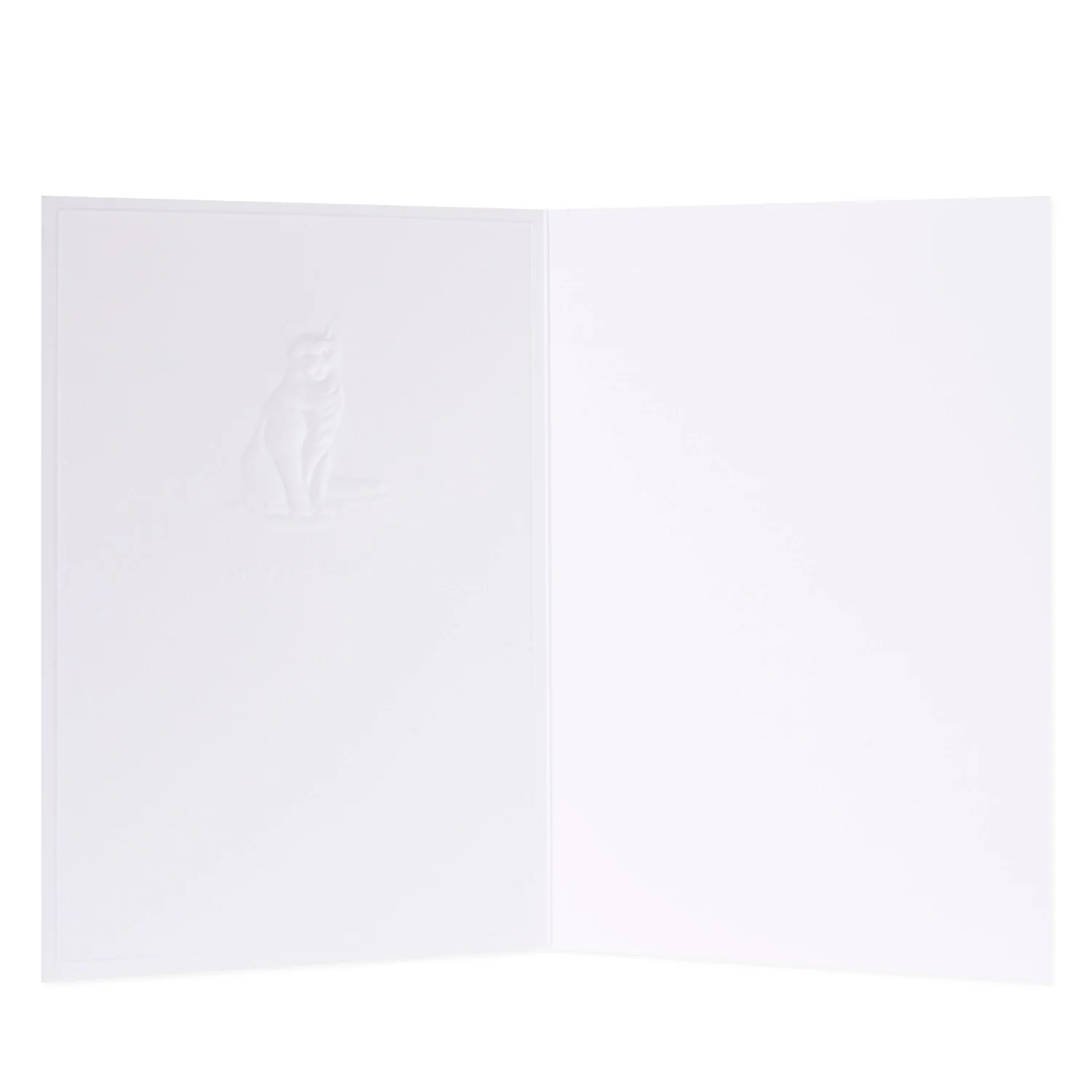 Hallmark Whimsical Whiskers Just For You Greeting Card - Shorthair Cat - Image 2