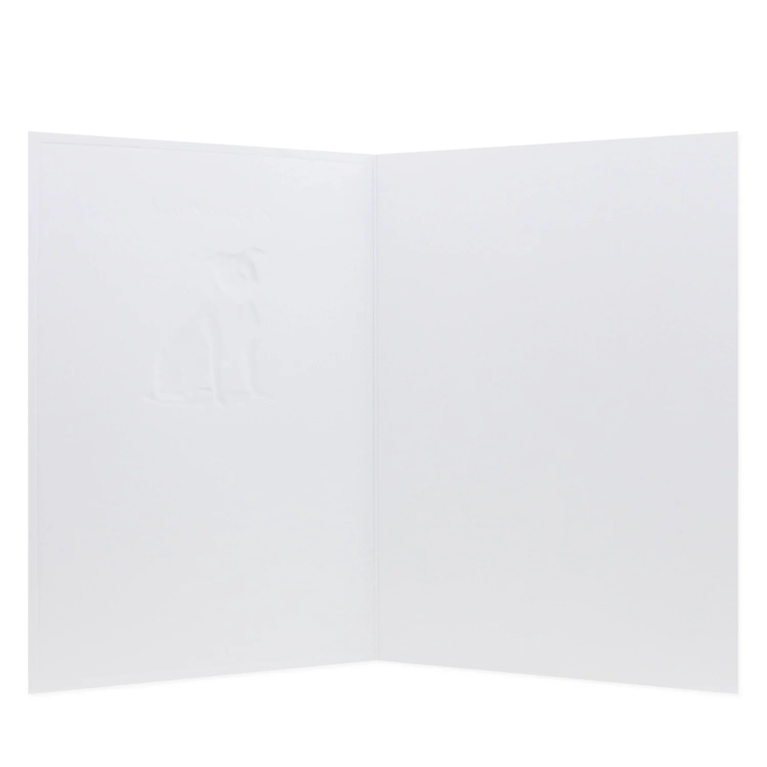 Hallmark Whimsical Whiskers A Special Wish Greeting Card - Staffy Dog - Image 2